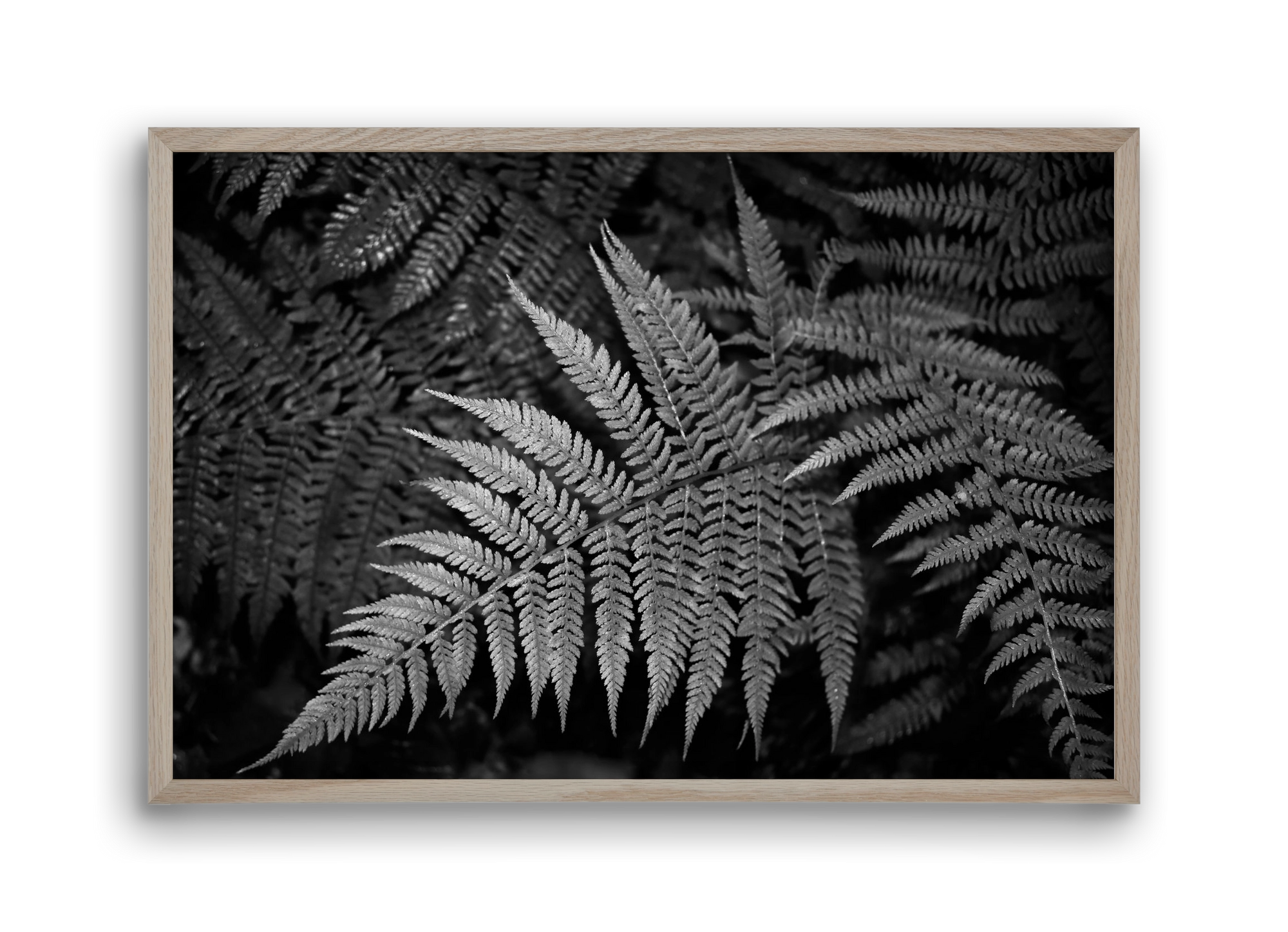 bracken joy, 45x30 cm (45x30 cm), Tölgy keret