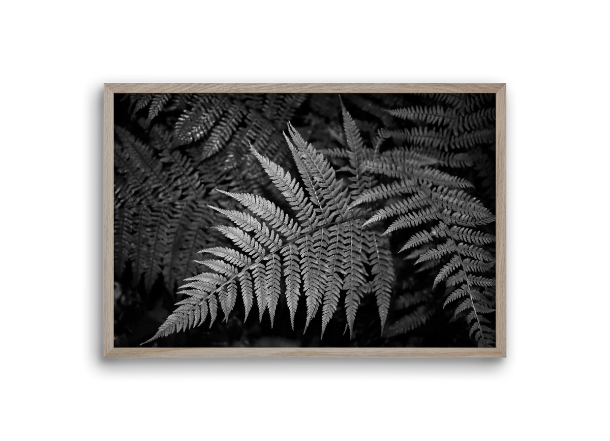 bracken joy, 30x20 cm (30x20 cm), Tölgy keret