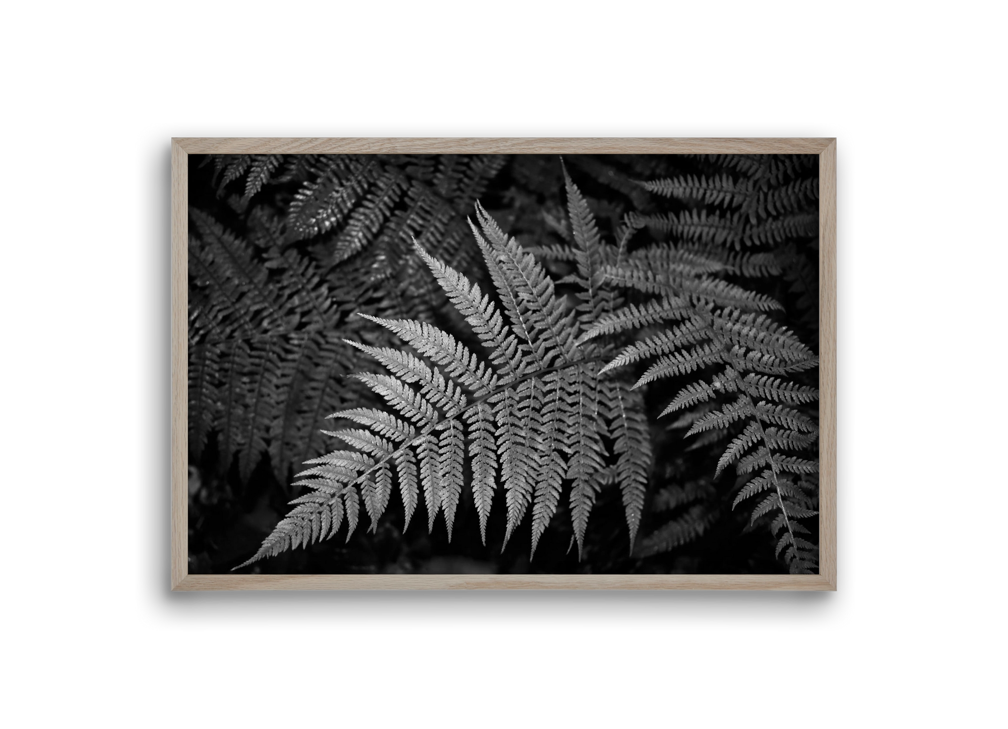 bracken joy, 30x20 cm (30x20 cm), Tölgy keret
