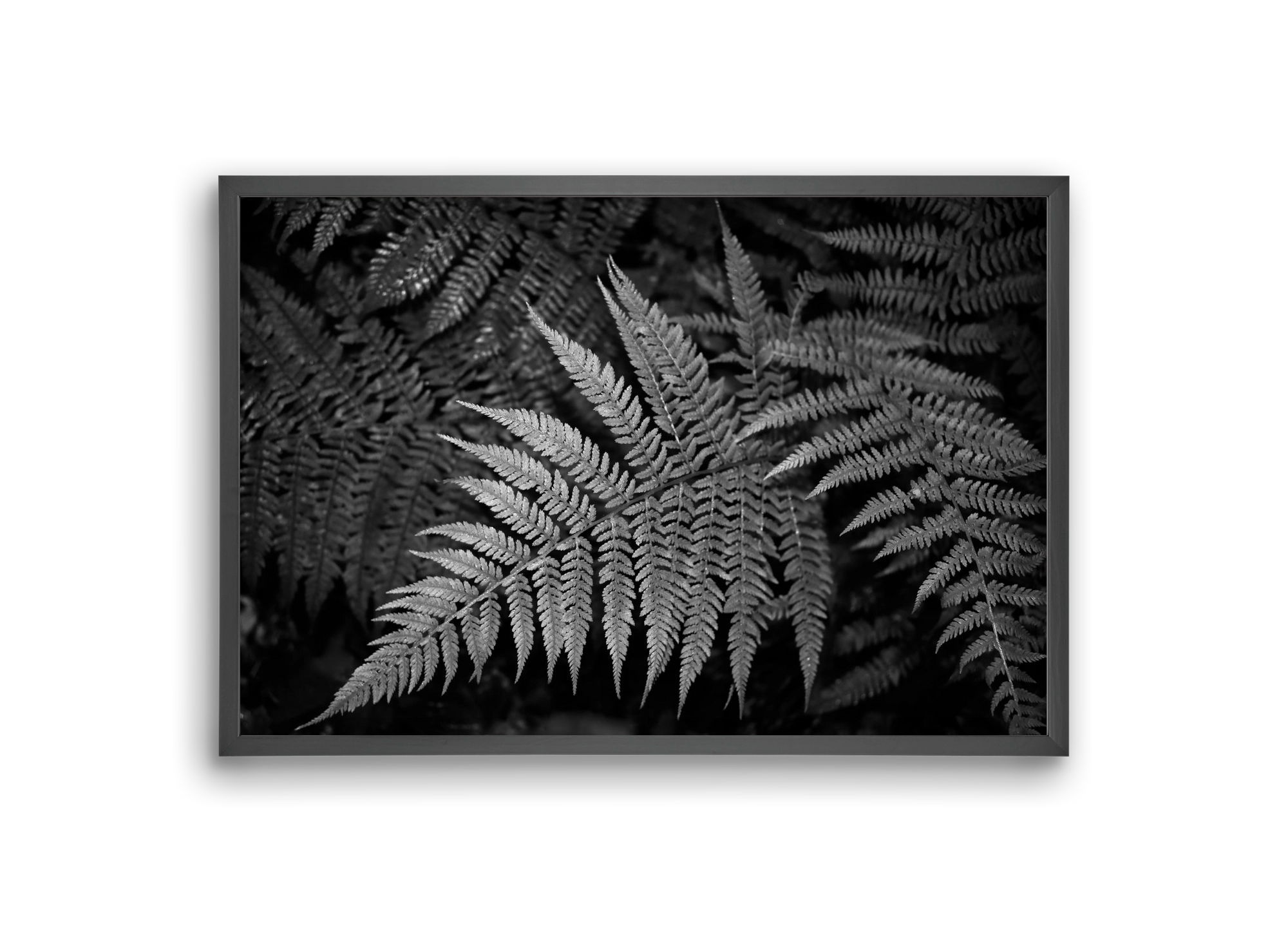 bracken joy, 30x20 cm (30x20 cm), Fekete keret