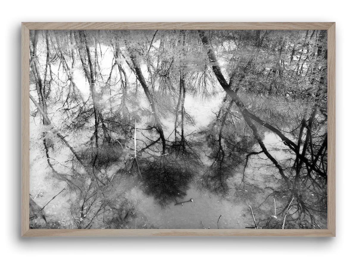 gloominess, 60x40 cm (60x40 cm), Tölgy keret