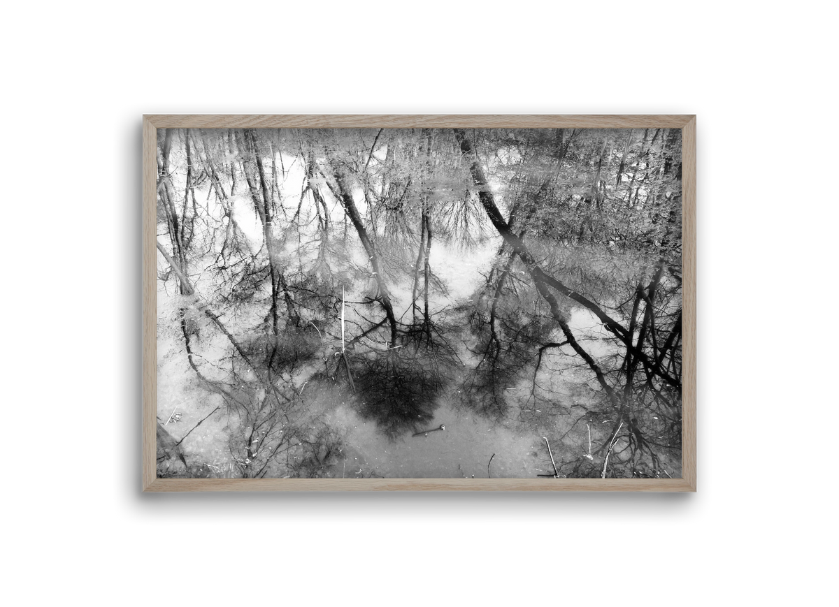 gloominess, 30x20 cm (30x20 cm), Tölgy keret