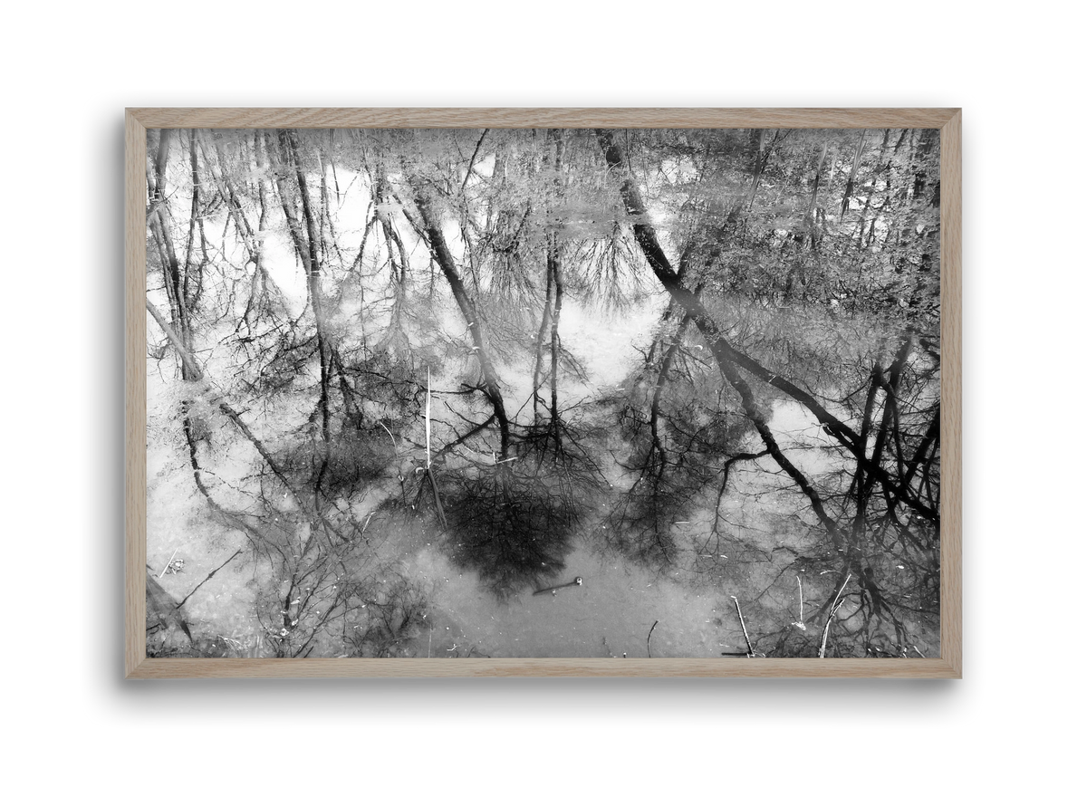 gloominess, 45x30 cm (45x30 cm), Tölgy keret