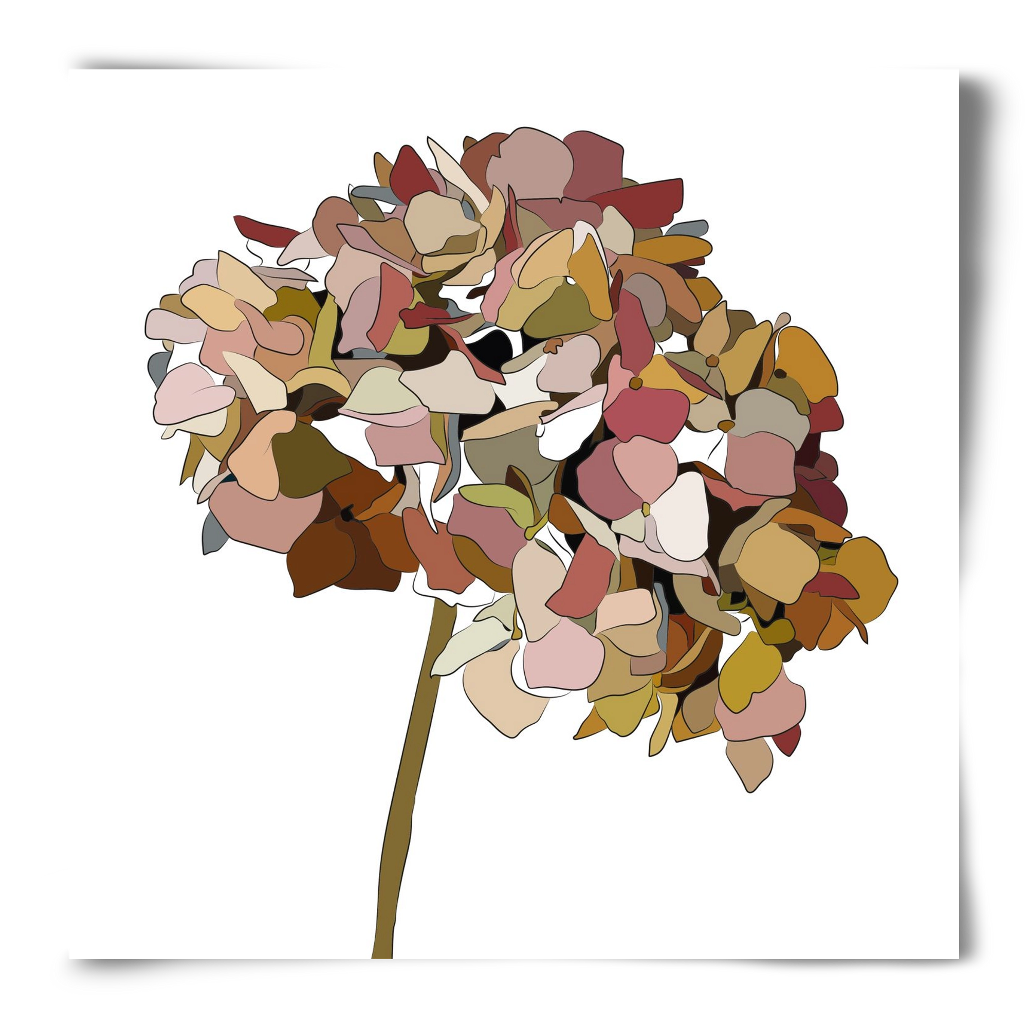 Hortenzia, 50x50 cm, Keret nélkül