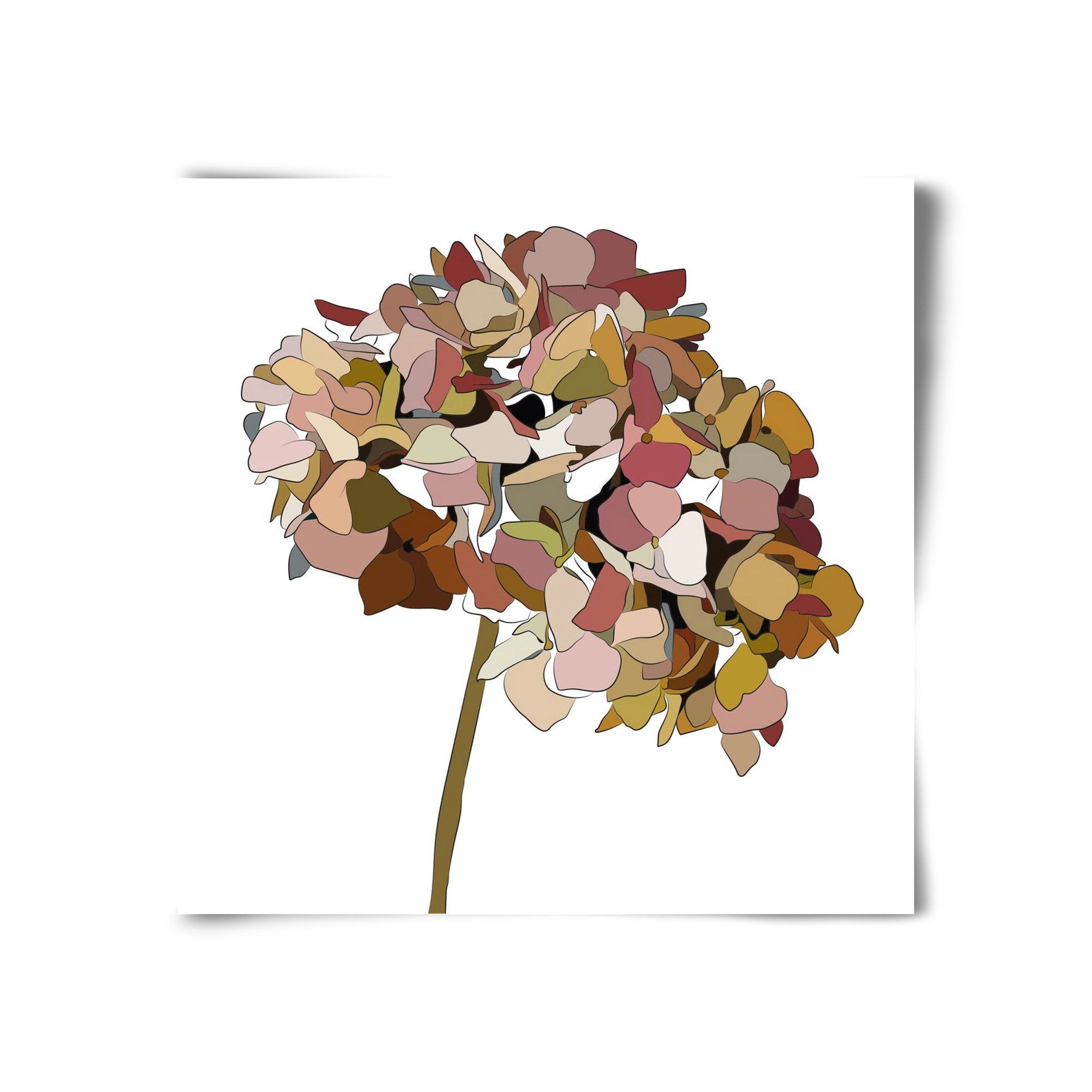 Hortenzia, 30x30 cm, Keret nélkül