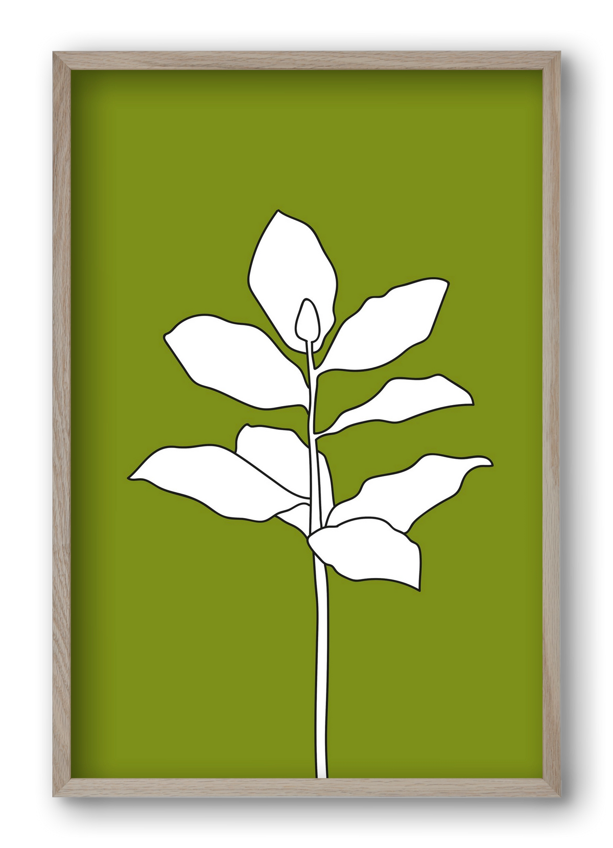 Magnolia 1, 40x60 cm (40x60 cm), Tölgy keret