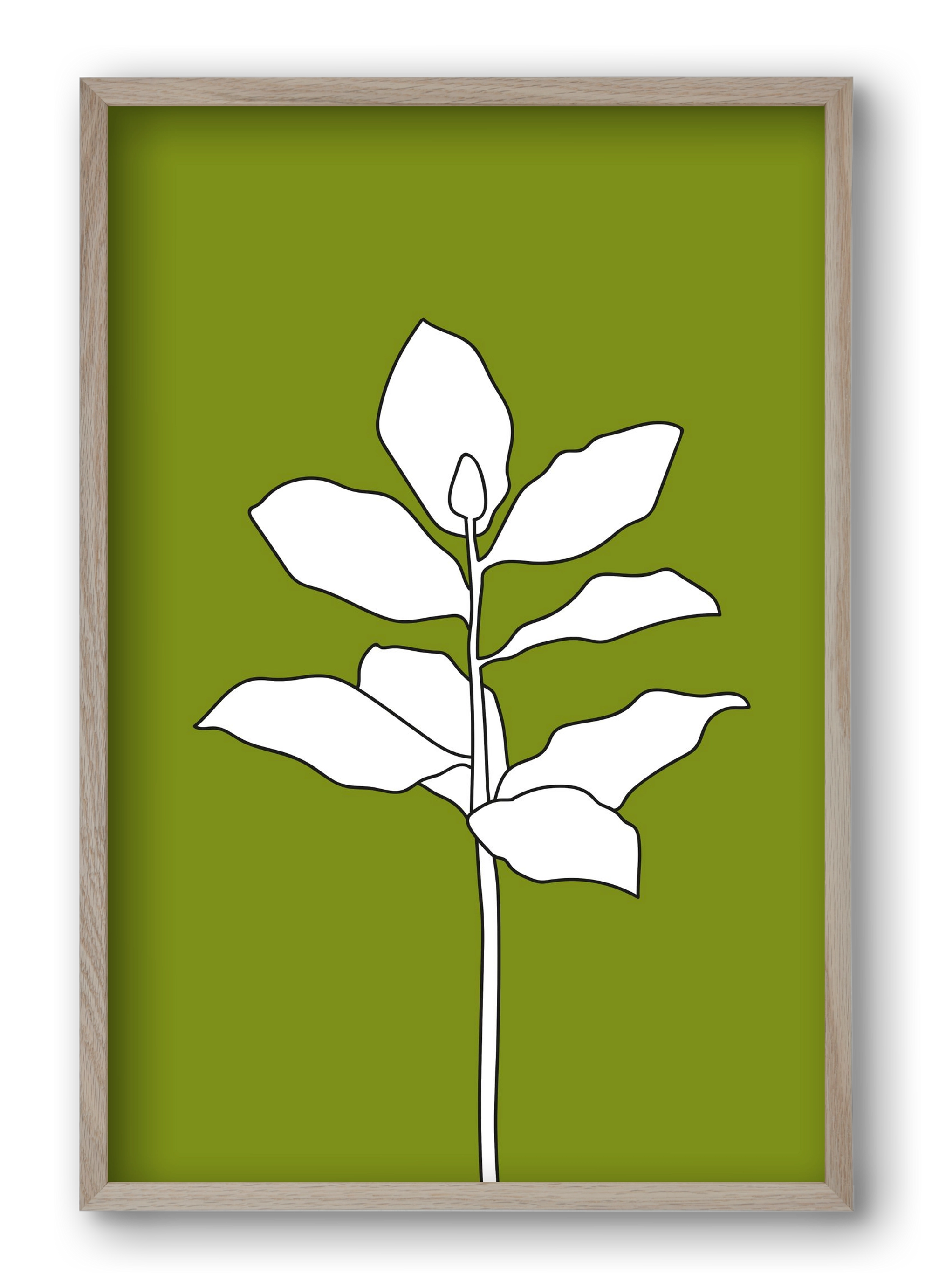 Magnolia 1, 40x60 cm (40x60 cm), Tölgy keret