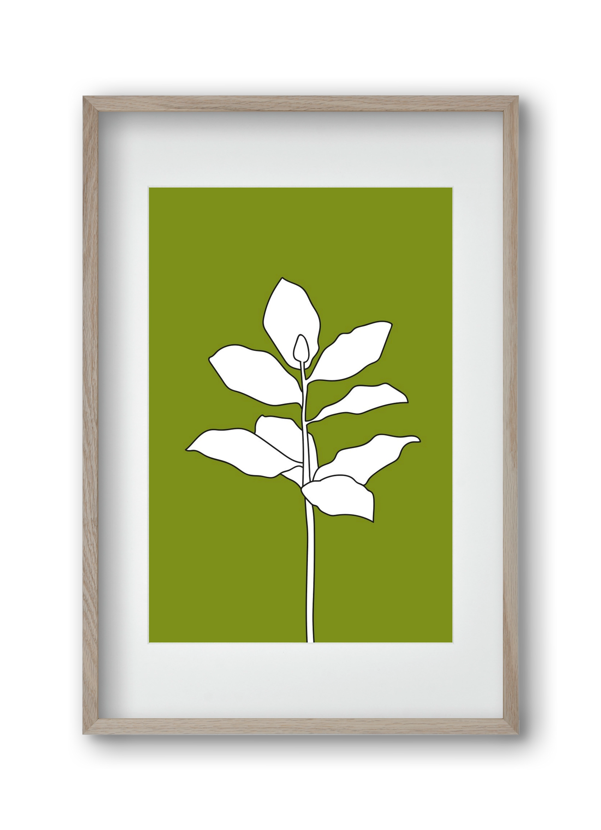 Magnolia 1, 30x45 cm (20x30 cm), Tölgy keret, paszpartuval