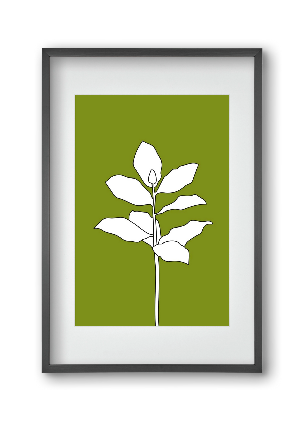 Magnolia 1, 30x45 cm (20x30 cm), Fekete keret, paszpartuval