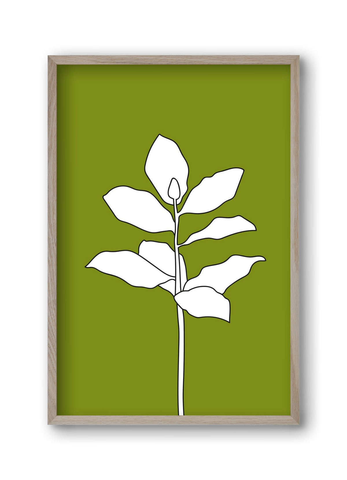 Magnolia 1, 30x45 cm (30x45 cm), Tölgy keret