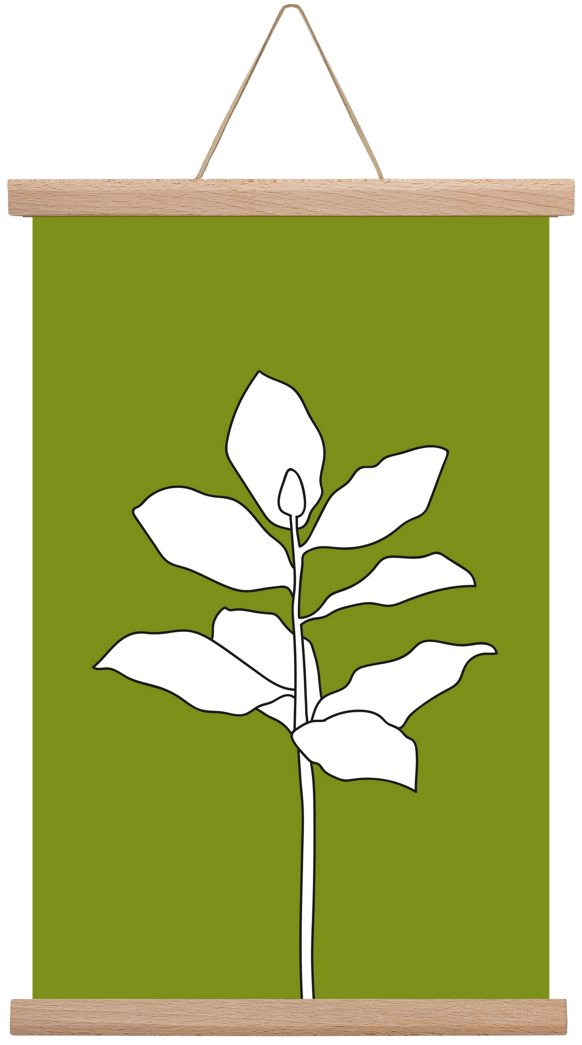 Magnolia 1, 30x45 cm (30x45 cm), Tölgy akasztó