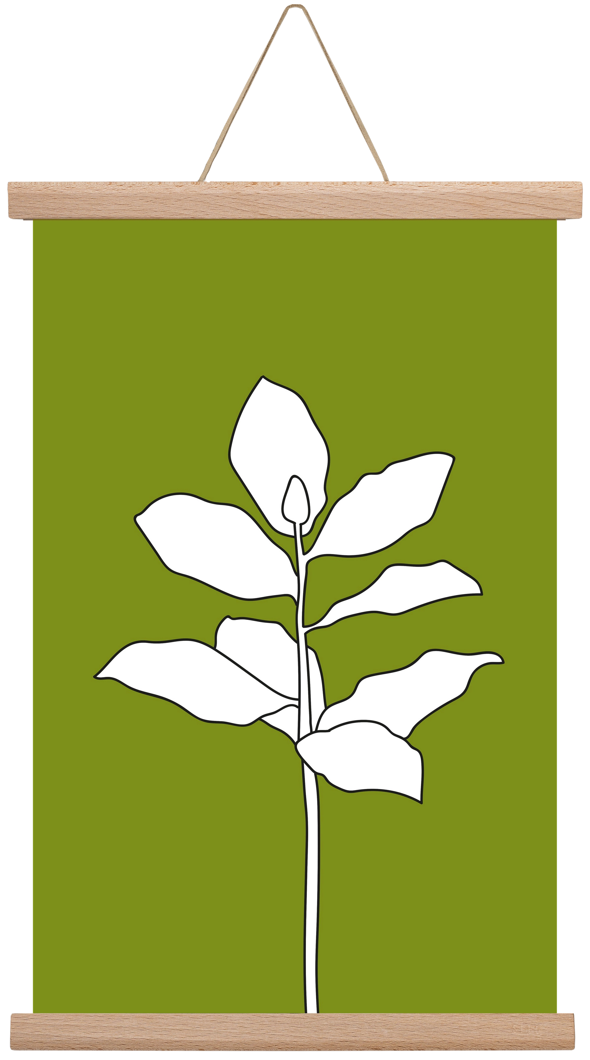 Magnolia 1, 30x45 cm (30x45 cm), Tölgy akasztó