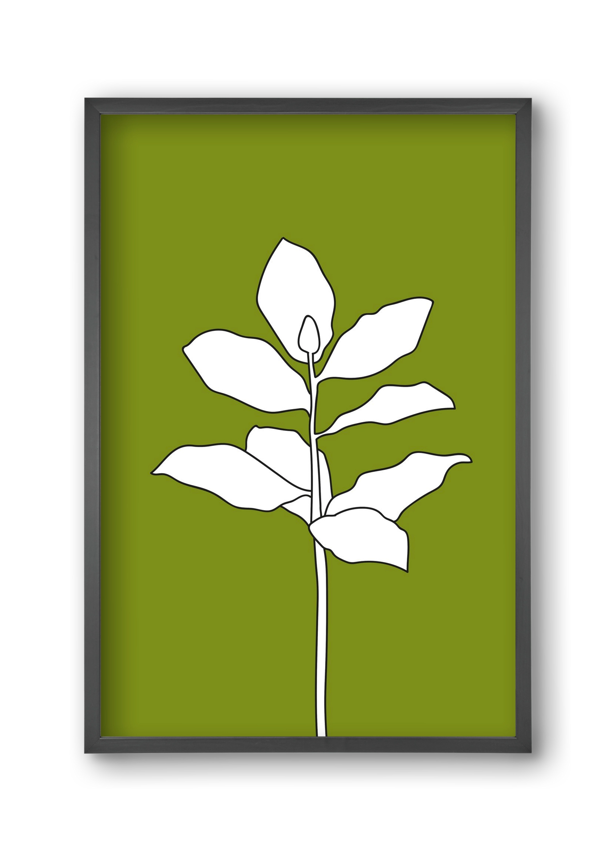 Magnolia 1, 30x45 cm (30x45 cm), Fekete keret