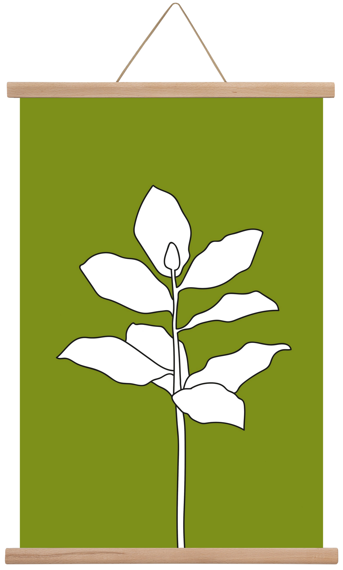 Magnolia 1, 40x60 cm (40x60 cm), Tölgy akasztó