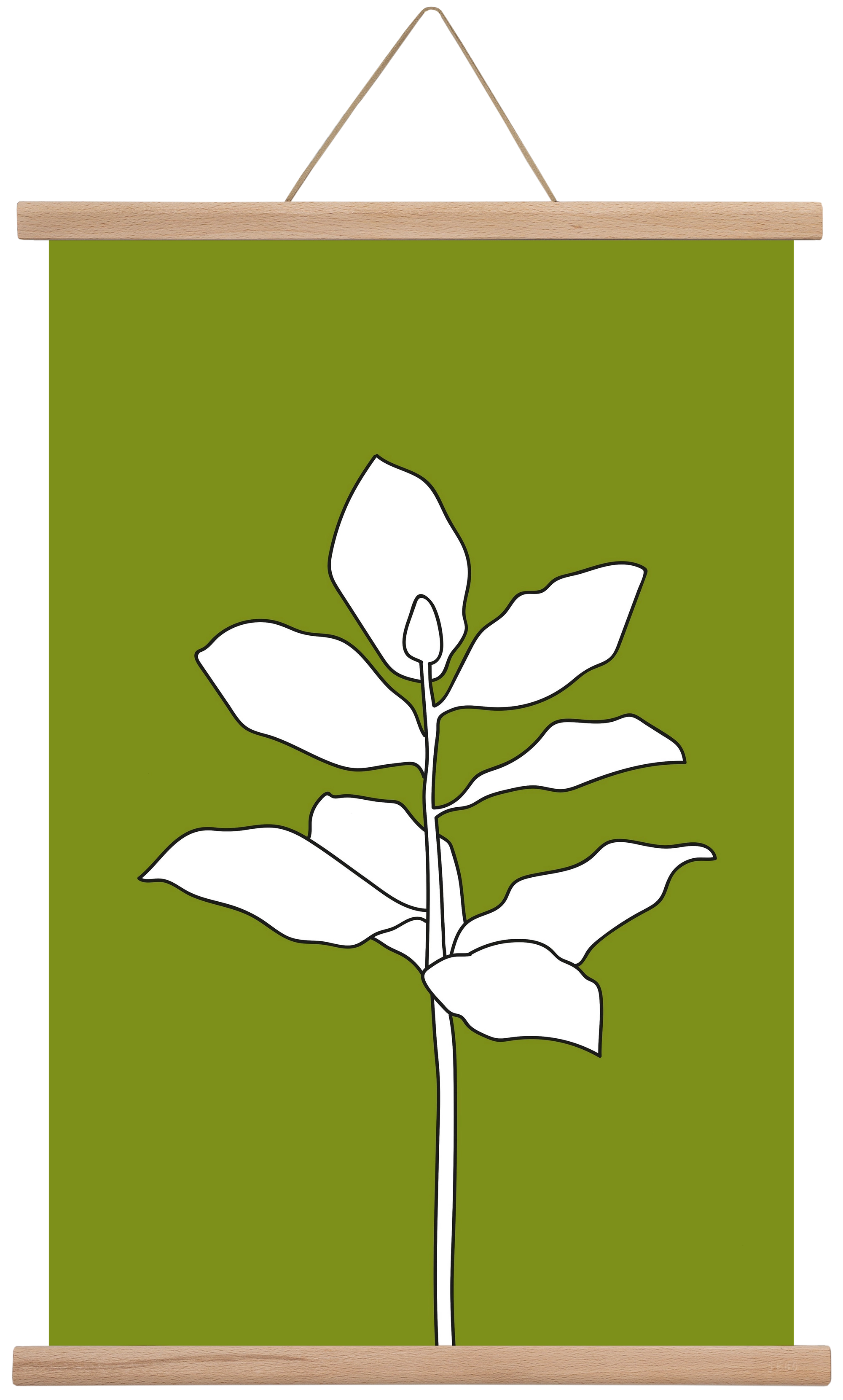 Magnolia 1, 40x60 cm (40x60 cm), Tölgy akasztó