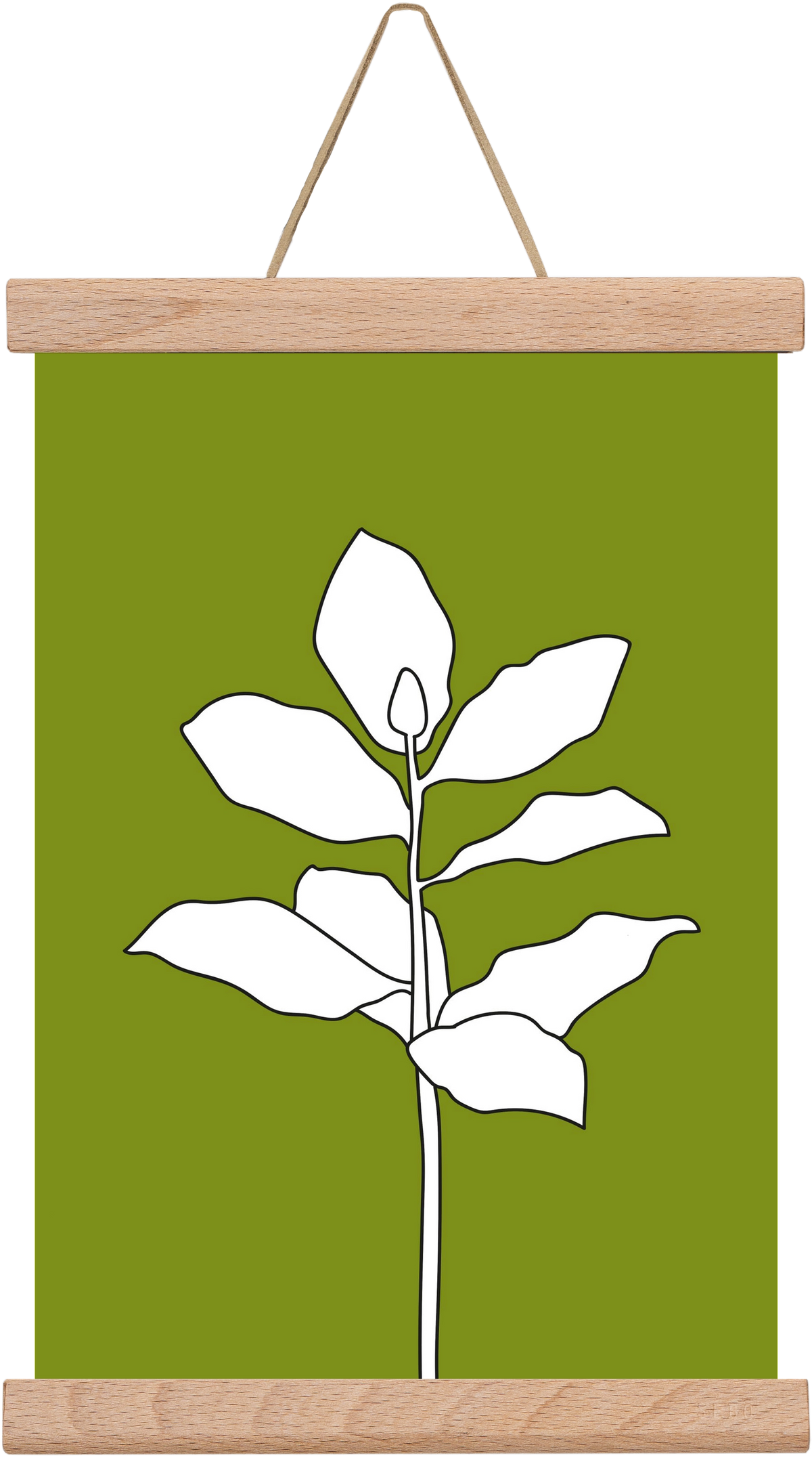 Magnolia 1, 20x30 cm (20x30 cm), Tölgy akasztó