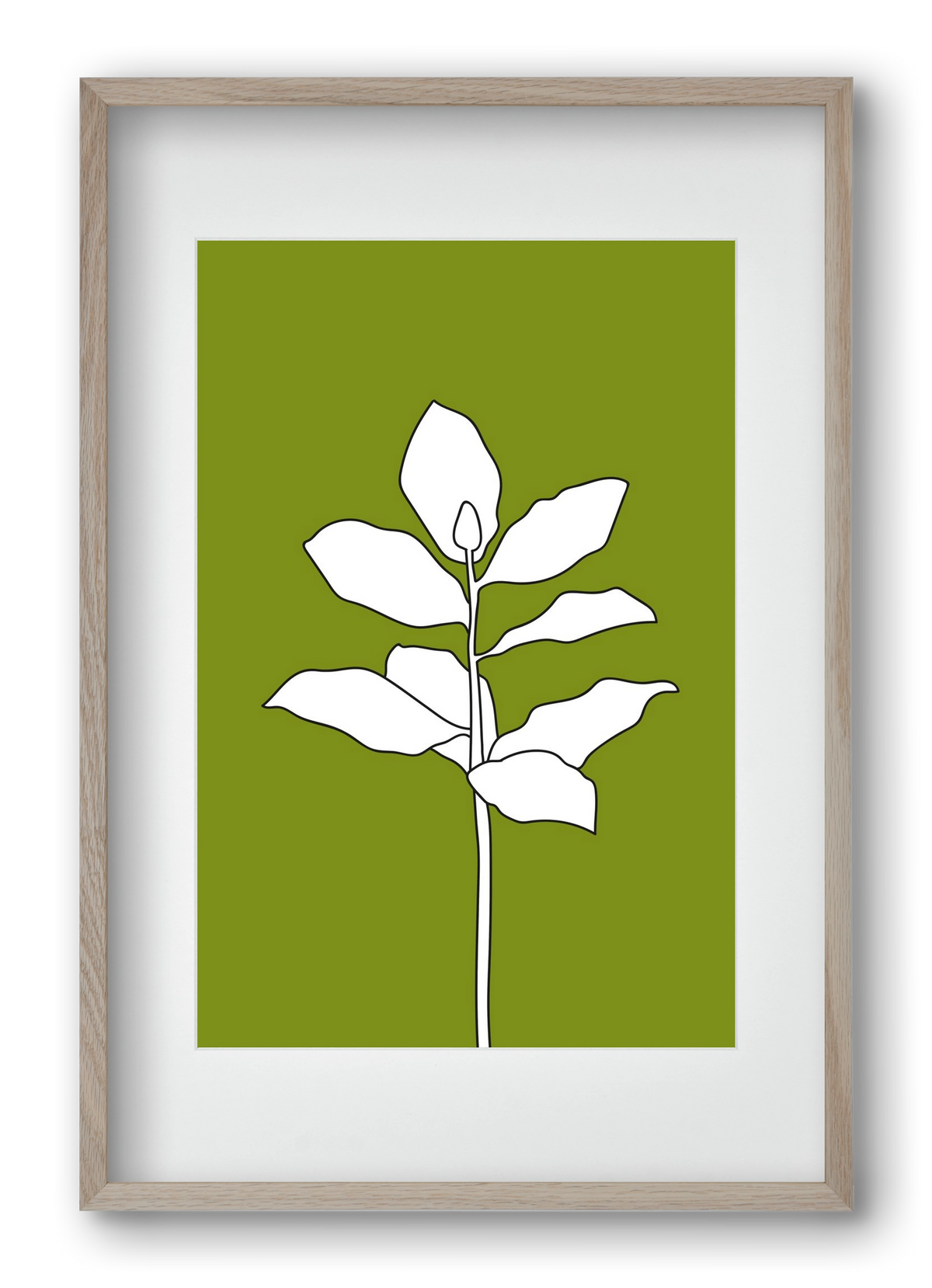 Magnolia 1, 40x60 cm (30x45 cm), Tölgy keret, paszpartuval