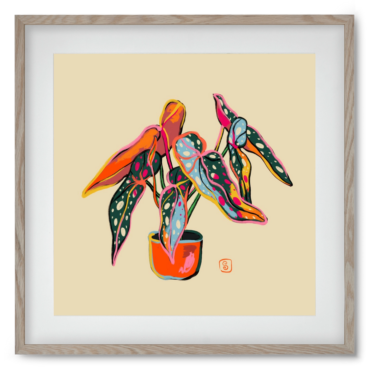 COLOURFUL BEGONIA PLANT, 50x50 cm (40x40 cm), Tölgy keret, paszpartuval