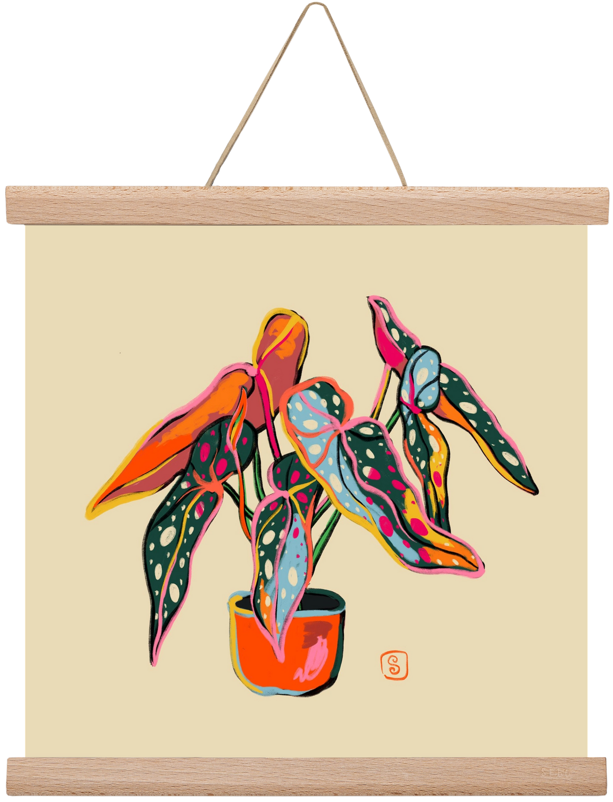 COLOURFUL BEGONIA PLANT, 30x30 cm (30x30 cm), Tölgy akasztó