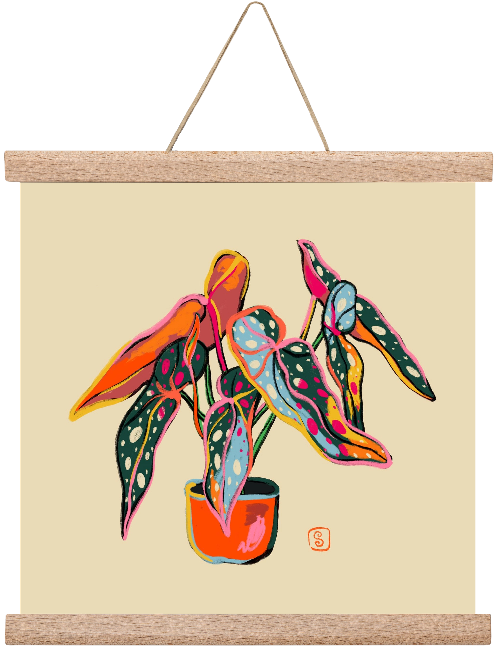 COLOURFUL BEGONIA PLANT, 30x30 cm (30x30 cm), Tölgy akasztó