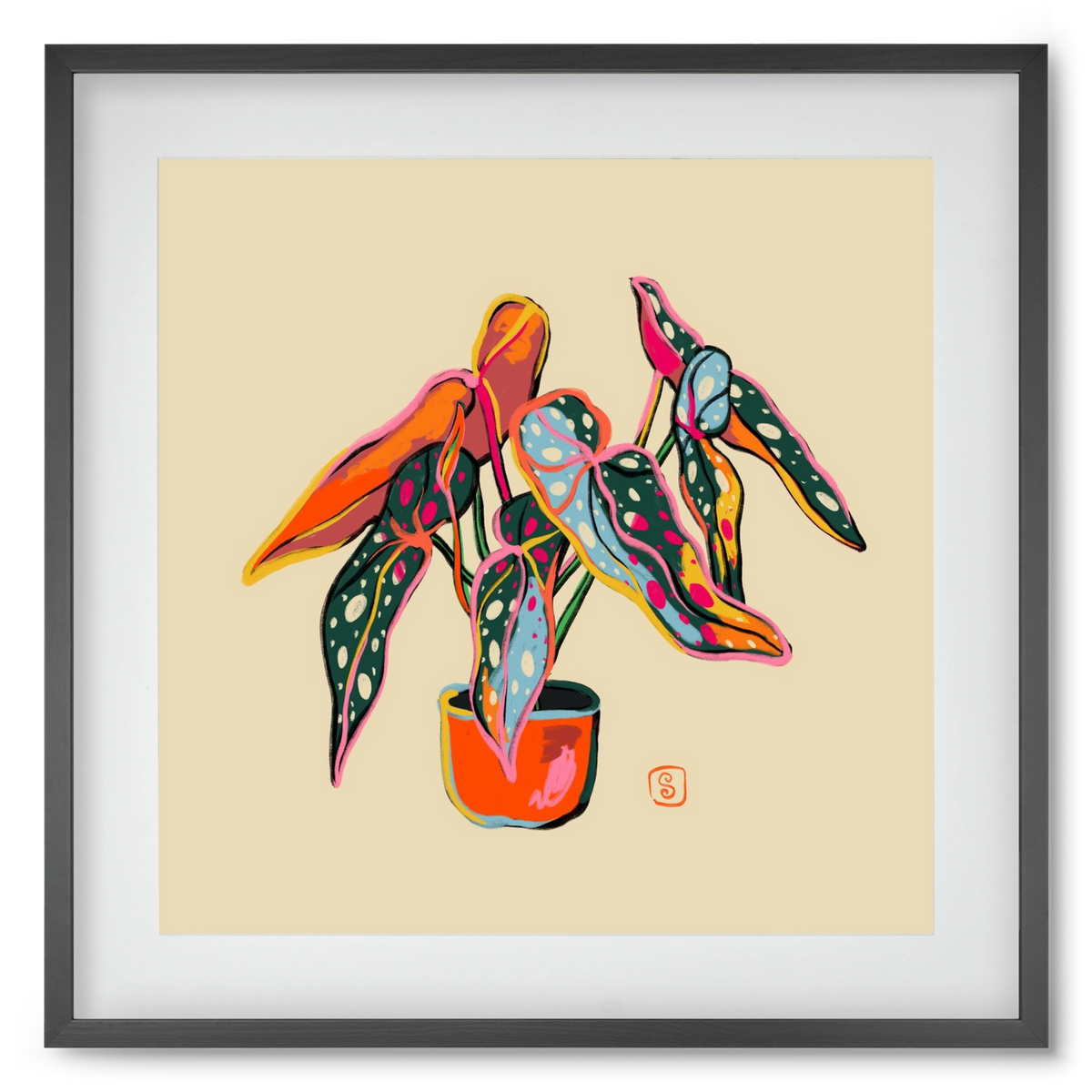 COLOURFUL BEGONIA PLANT, 50x50 cm (40x40 cm), Fekete keret, paszpartuval