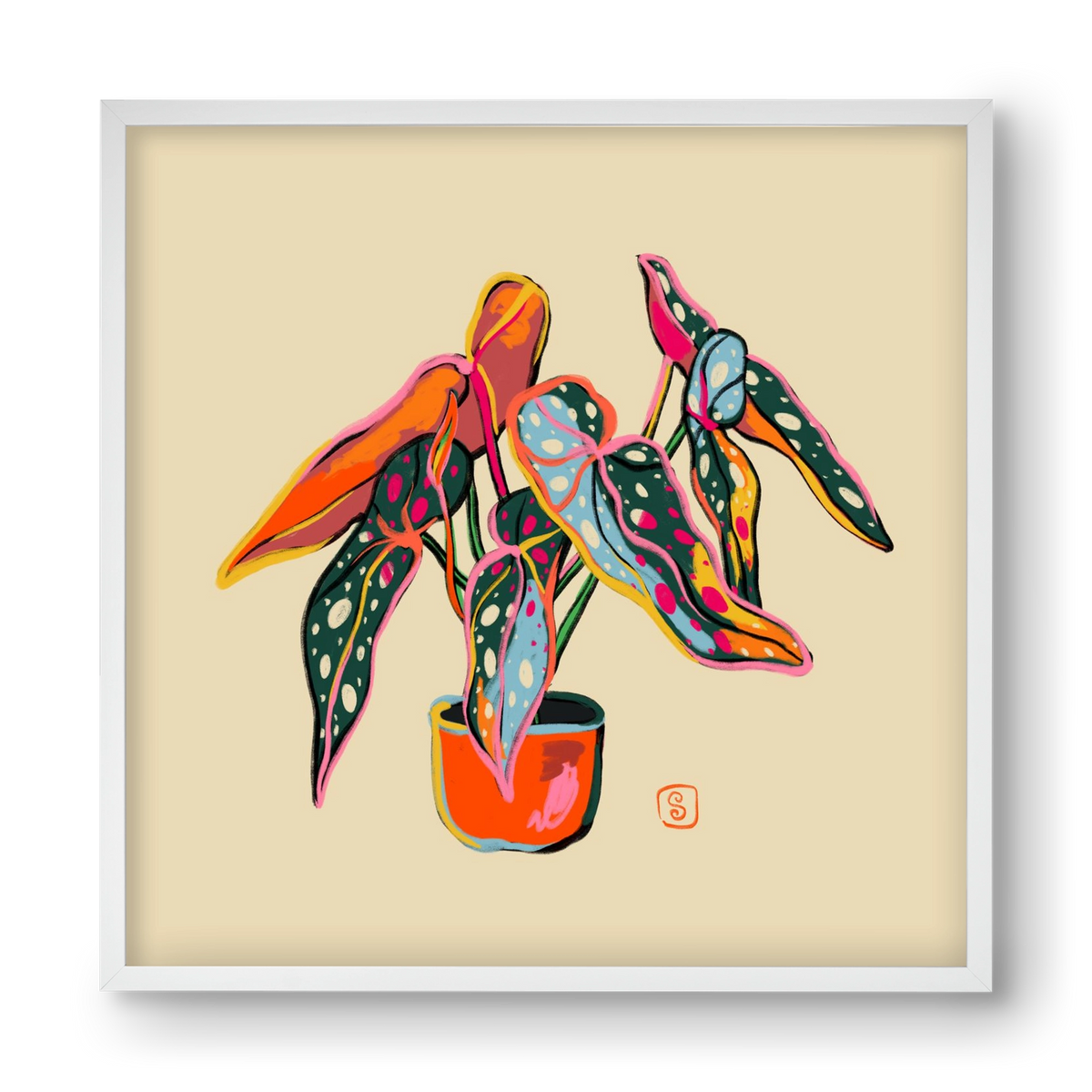 COLOURFUL BEGONIA PLANT, 40x40 cm (40x40 cm), Fehér keret