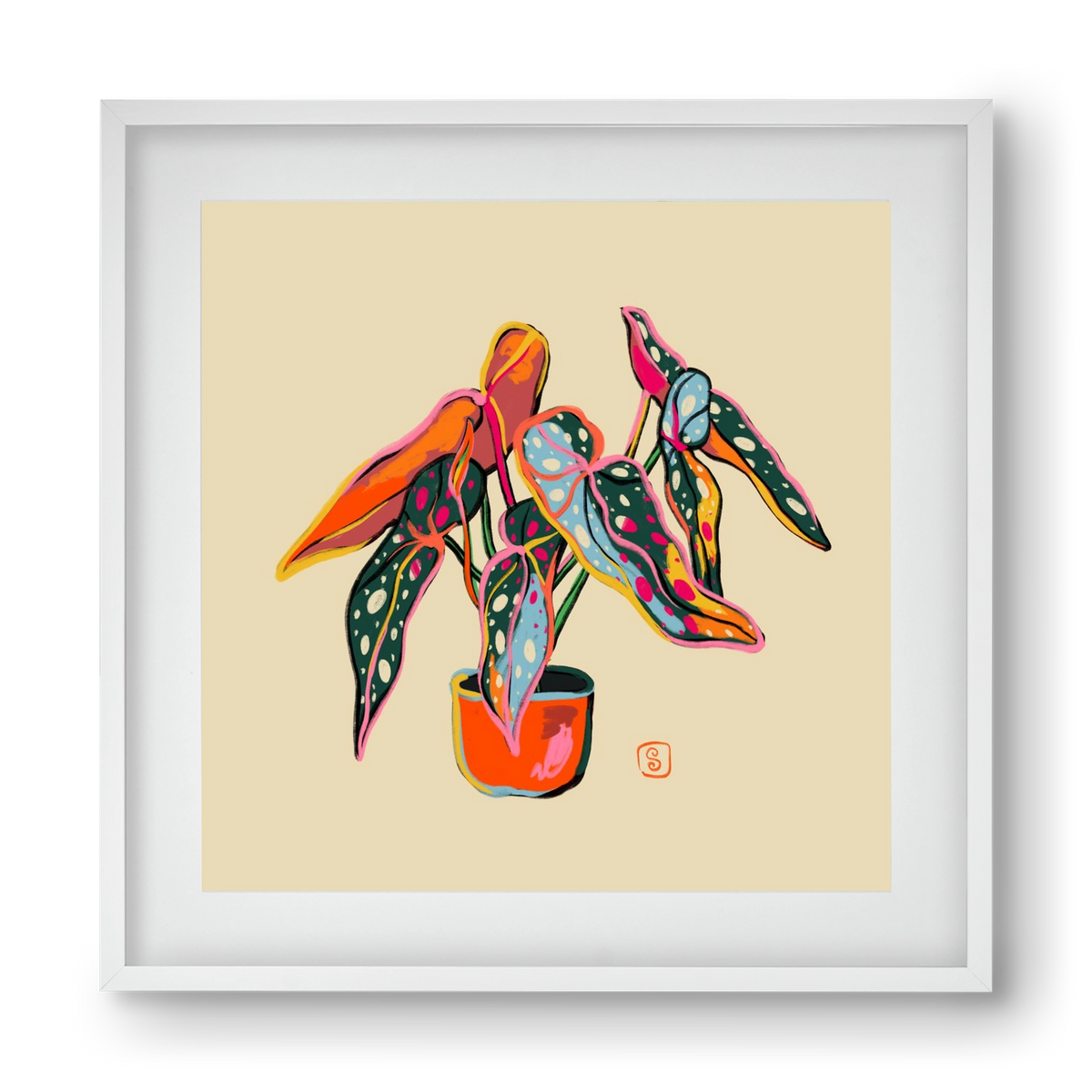 COLOURFUL BEGONIA PLANT, 40x40 cm (30x30 cm), Fehér keret, paszpartuval