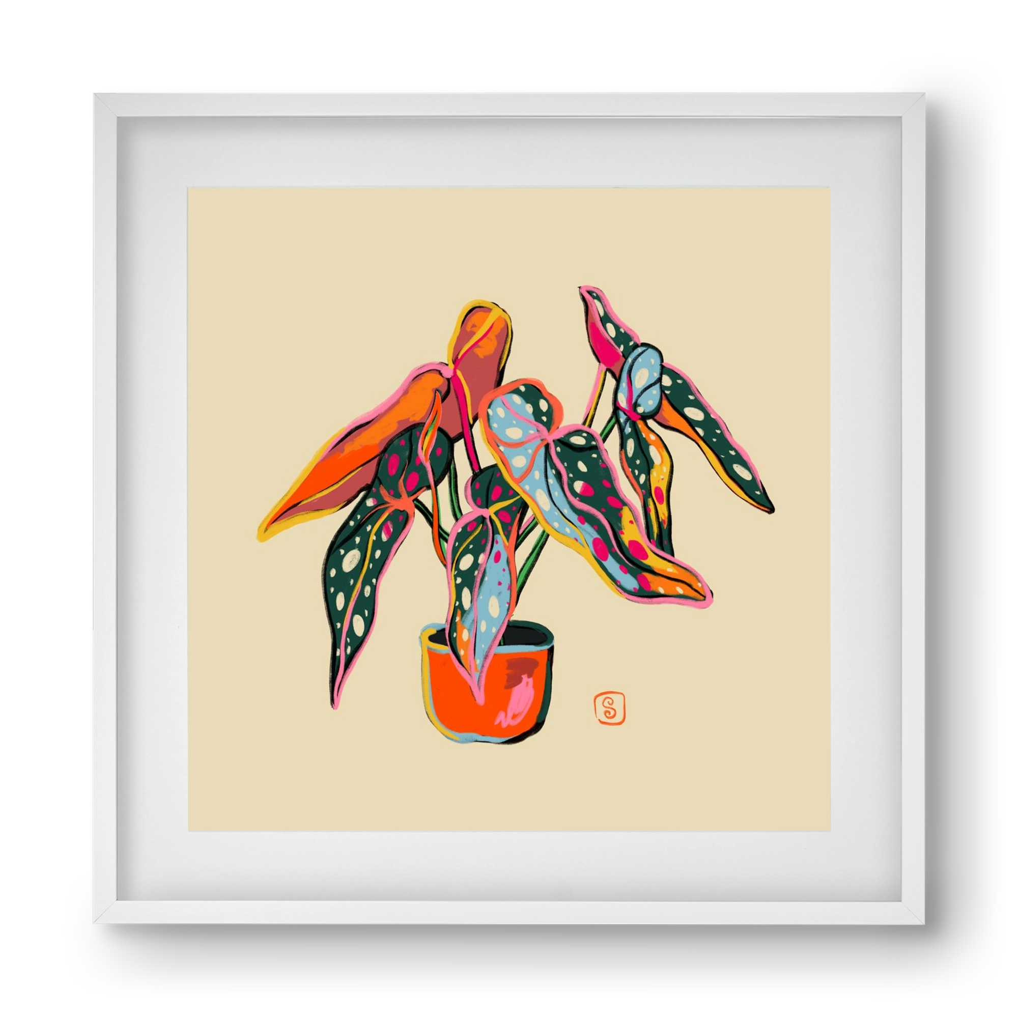 COLOURFUL BEGONIA PLANT, 40x40 cm (30x30 cm), Fehér keret, paszpartuval