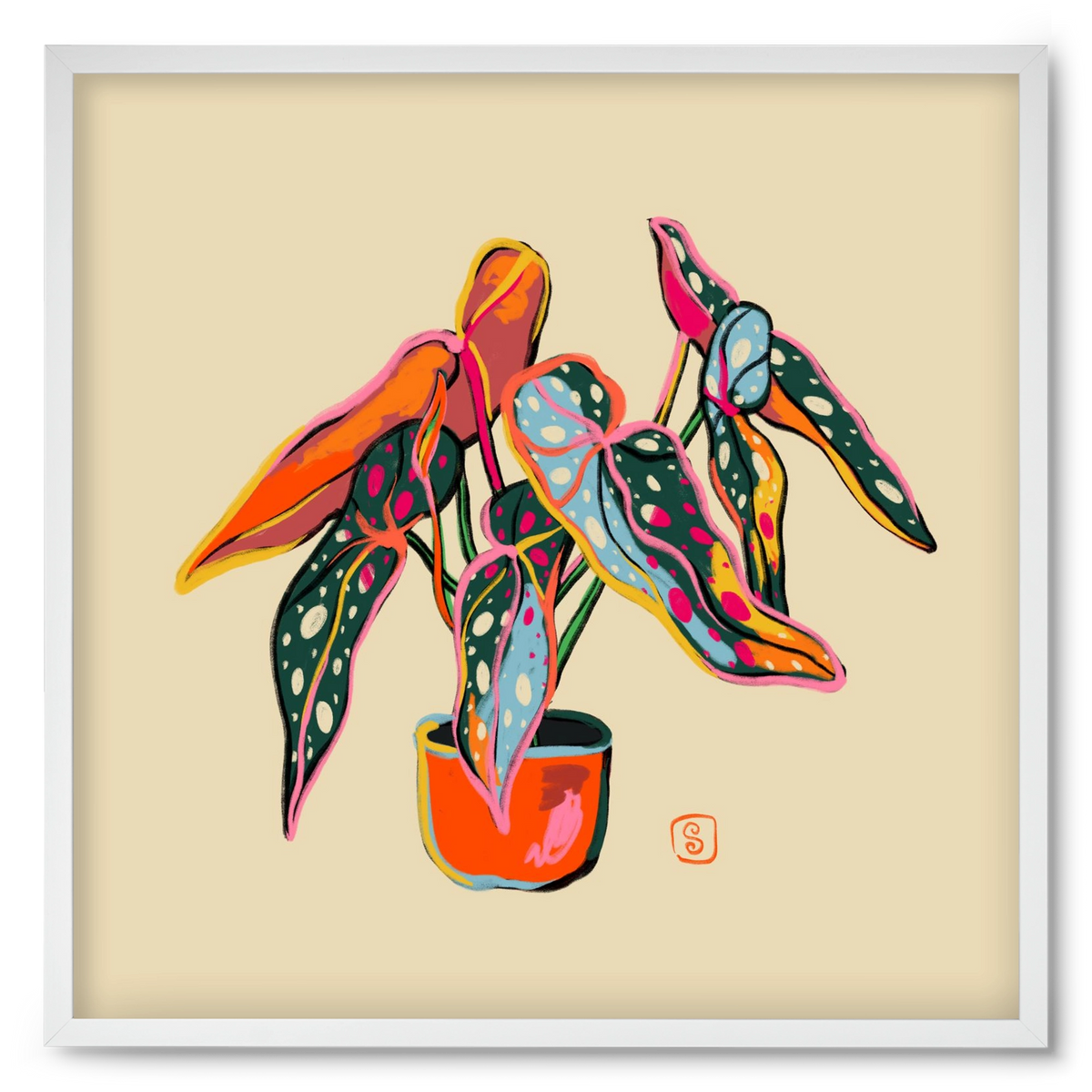 COLOURFUL BEGONIA PLANT, 50x50 cm (50x50 cm), Fehér keret