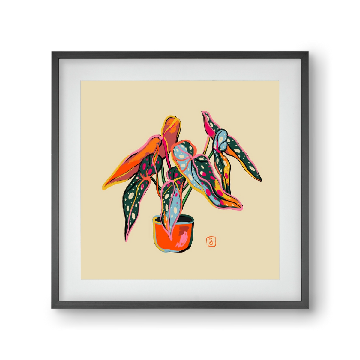 COLOURFUL BEGONIA PLANT, 30x30 cm (20x20 cm), Fekete keret, paszpartuval