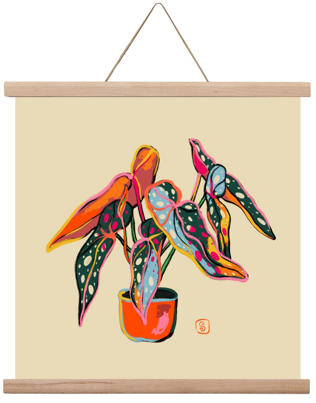 COLOURFUL BEGONIA PLANT, 40x40 cm (40x40 cm), Tölgy akasztó