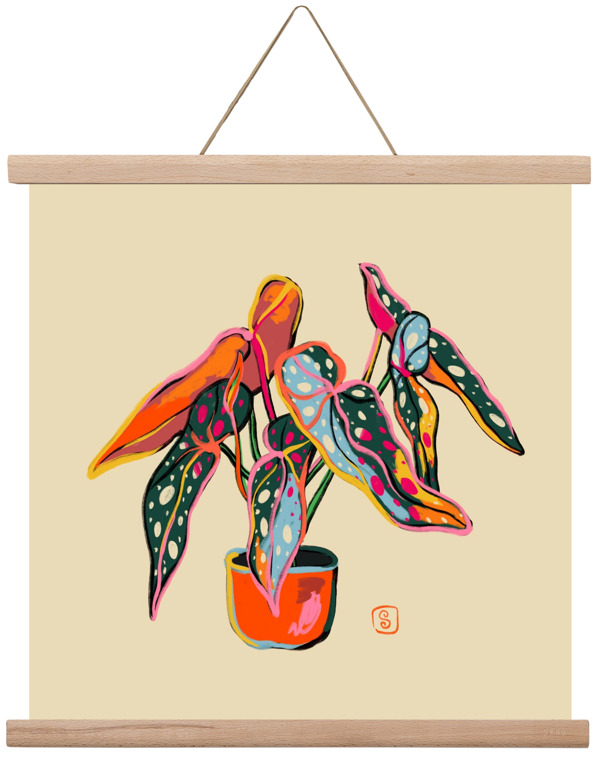 COLOURFUL BEGONIA PLANT, 40x40 cm (40x40 cm), Tölgy akasztó