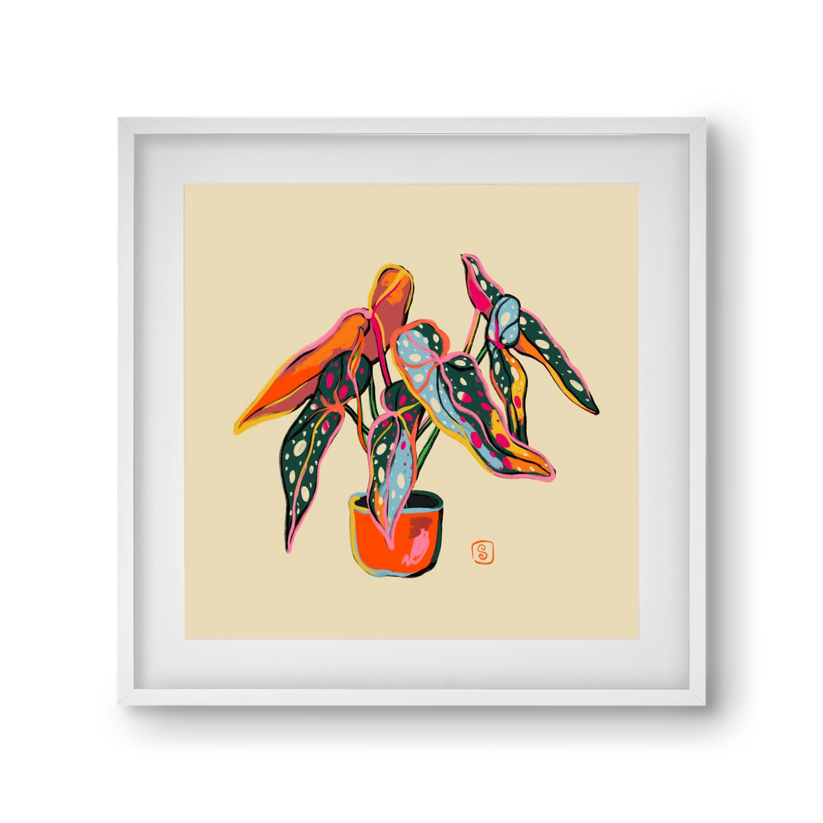 COLOURFUL BEGONIA PLANT, 30x30 cm (20x20 cm), Fehér keret, paszpartuval