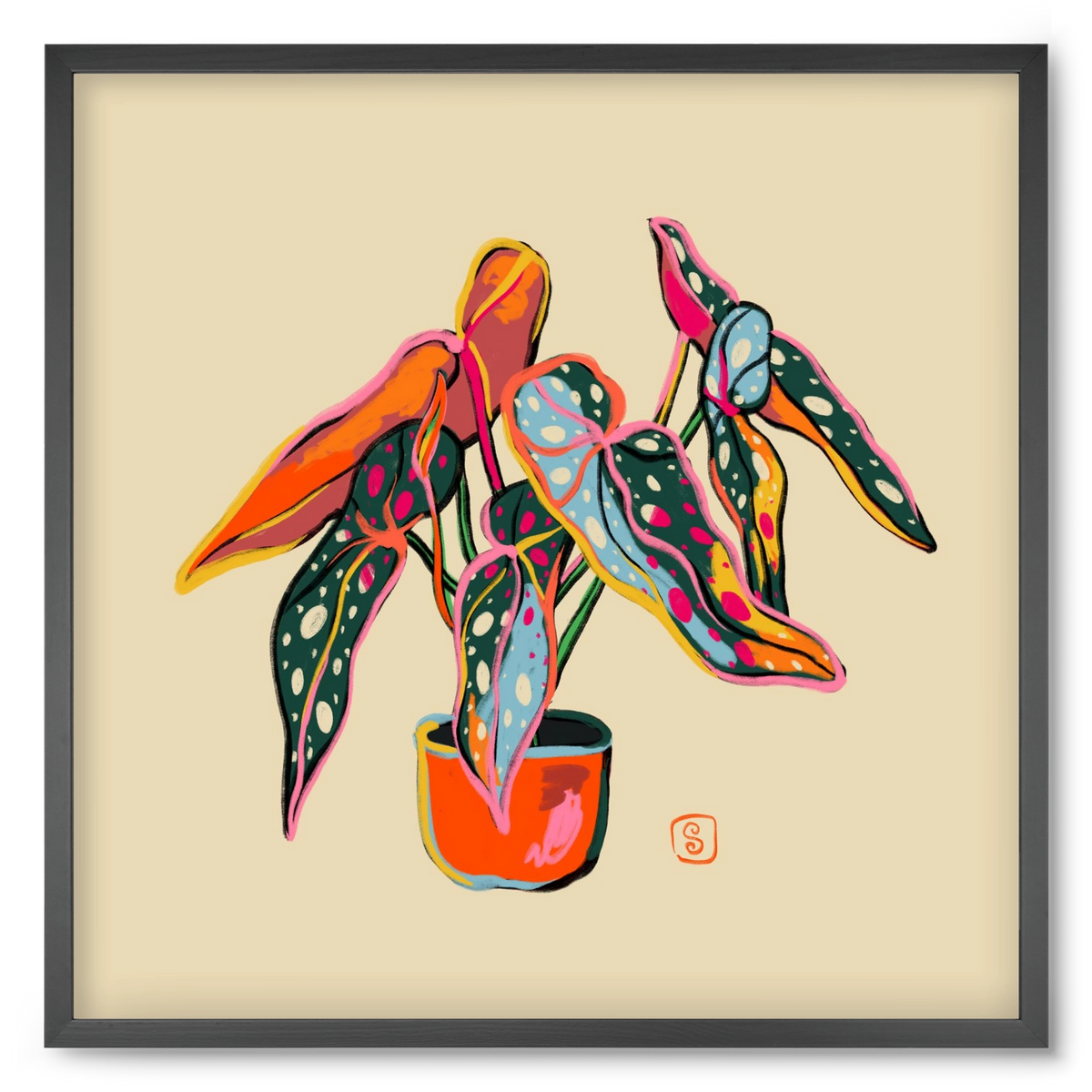 COLOURFUL BEGONIA PLANT, 50x50 cm (50x50 cm), Fekete keret