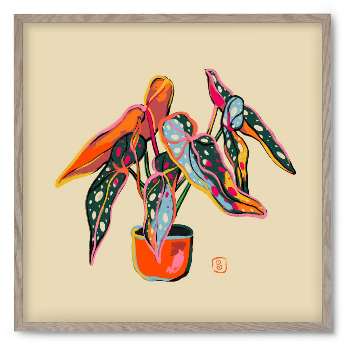 COLOURFUL BEGONIA PLANT, 50x50 cm (50x50 cm), Tölgy keret