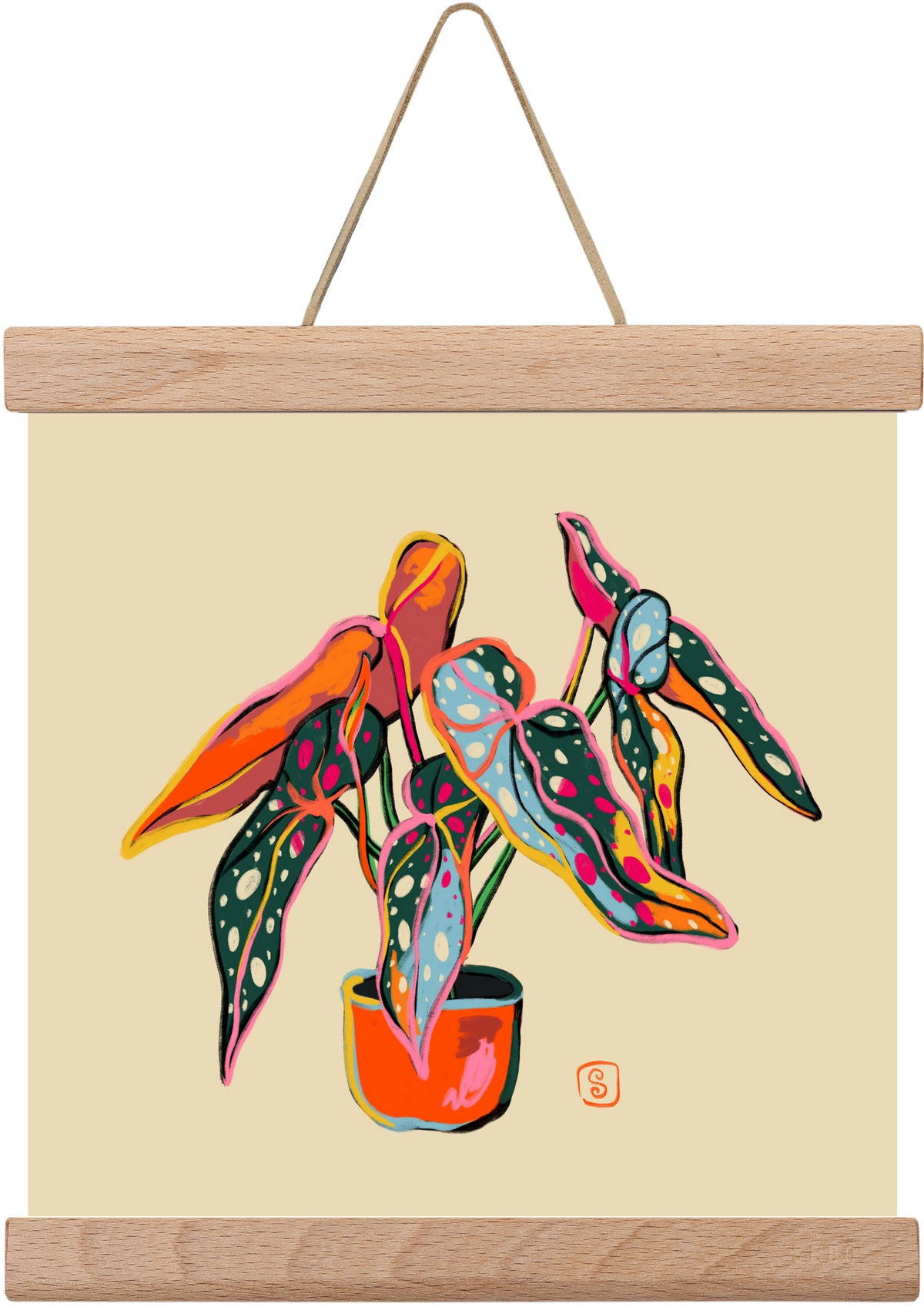 COLOURFUL BEGONIA PLANT, 20x20 cm (20x20 cm), Tölgy akasztó