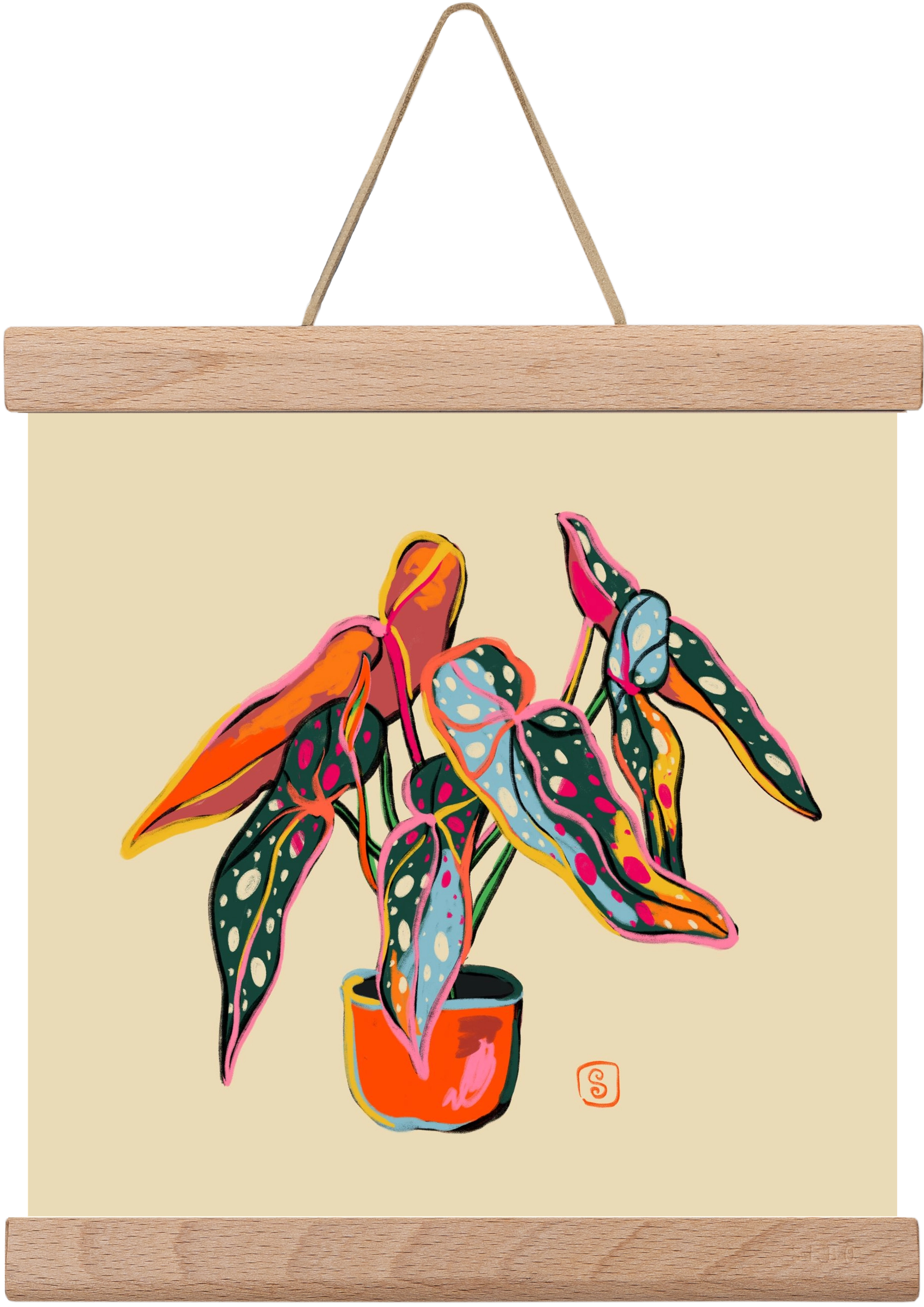 COLOURFUL BEGONIA PLANT, 20x20 cm (20x20 cm), Tölgy akasztó