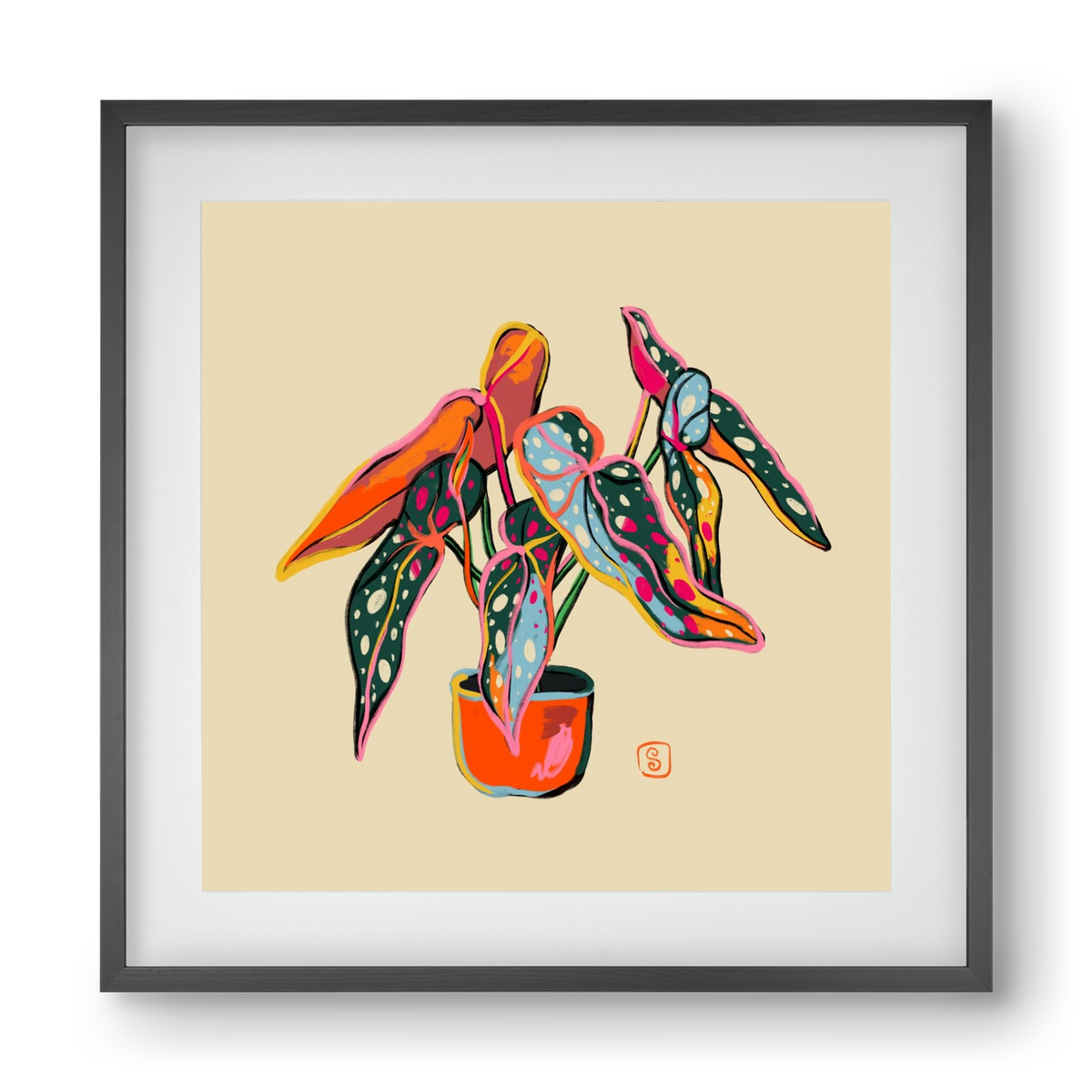 COLOURFUL BEGONIA PLANT, 40x40 cm (30x30 cm), Fekete keret, paszpartuval