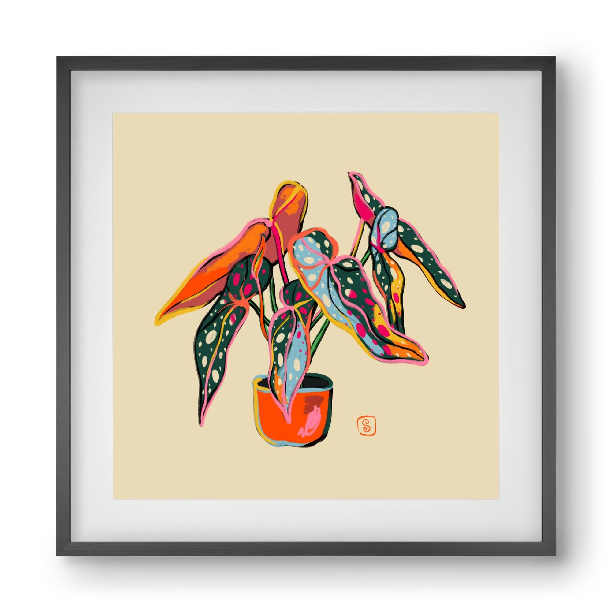 COLOURFUL BEGONIA PLANT, 40x40 cm (30x30 cm), Fekete keret, paszpartuval