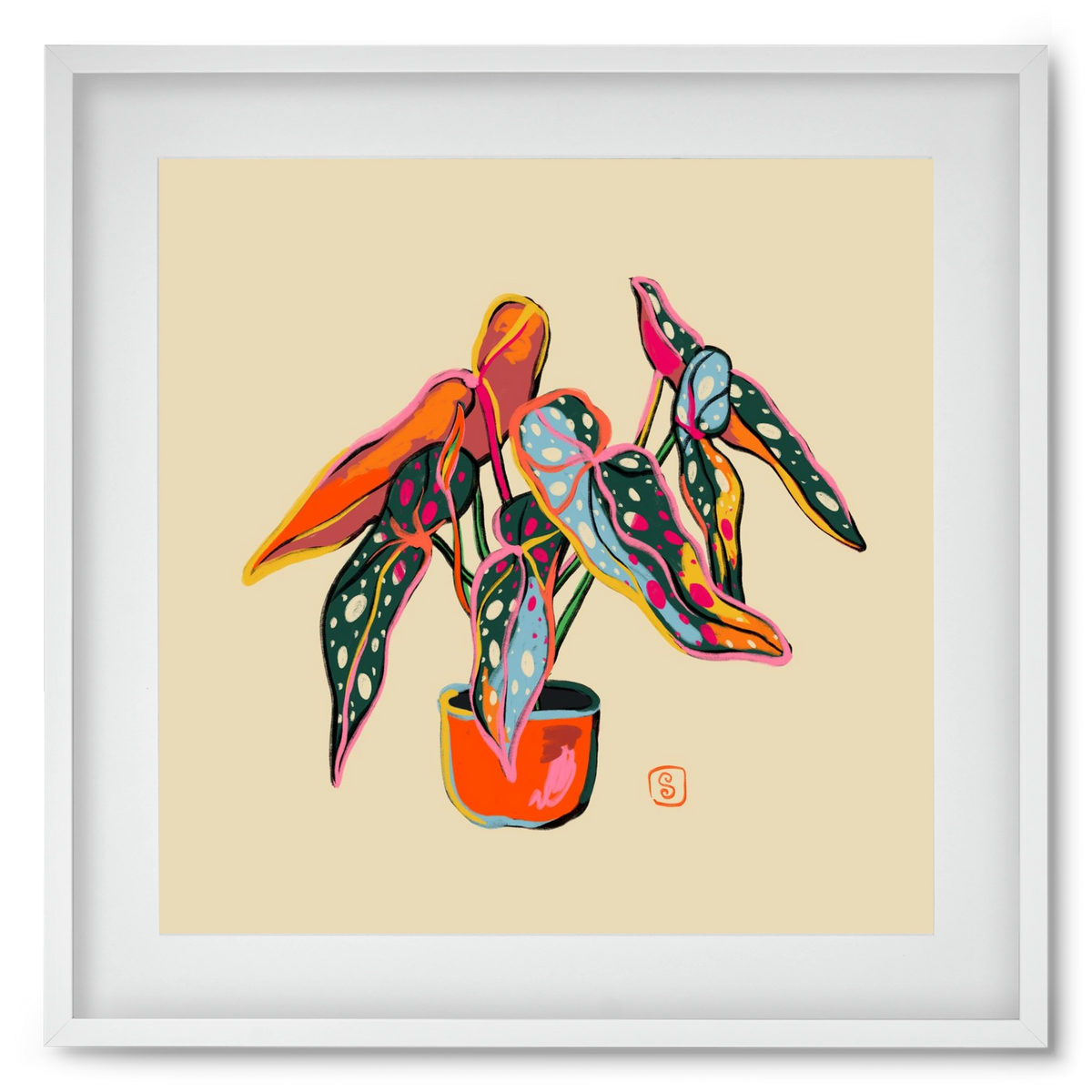 COLOURFUL BEGONIA PLANT, 50x50 cm (40x40 cm), Fehér keret, paszpartuval