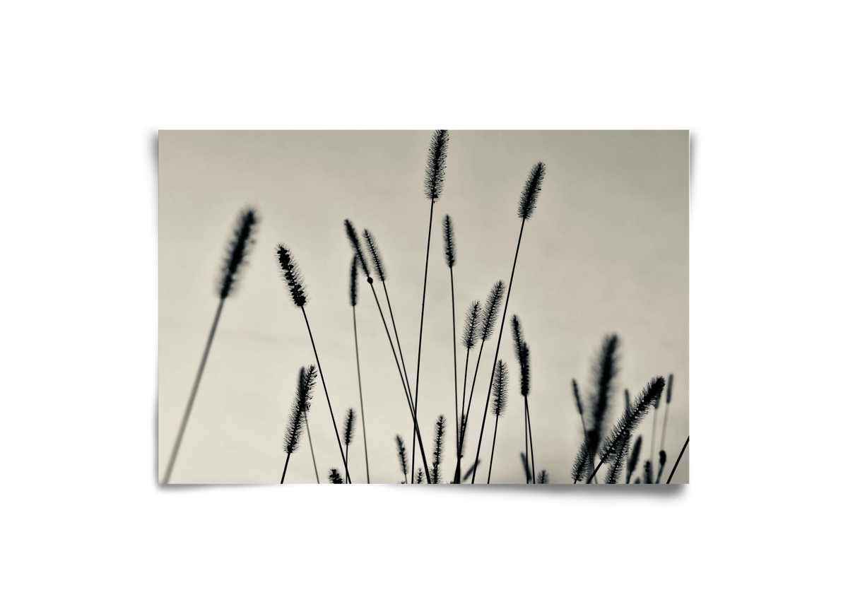 Cloud light, 30x20 cm, Keret nélkül