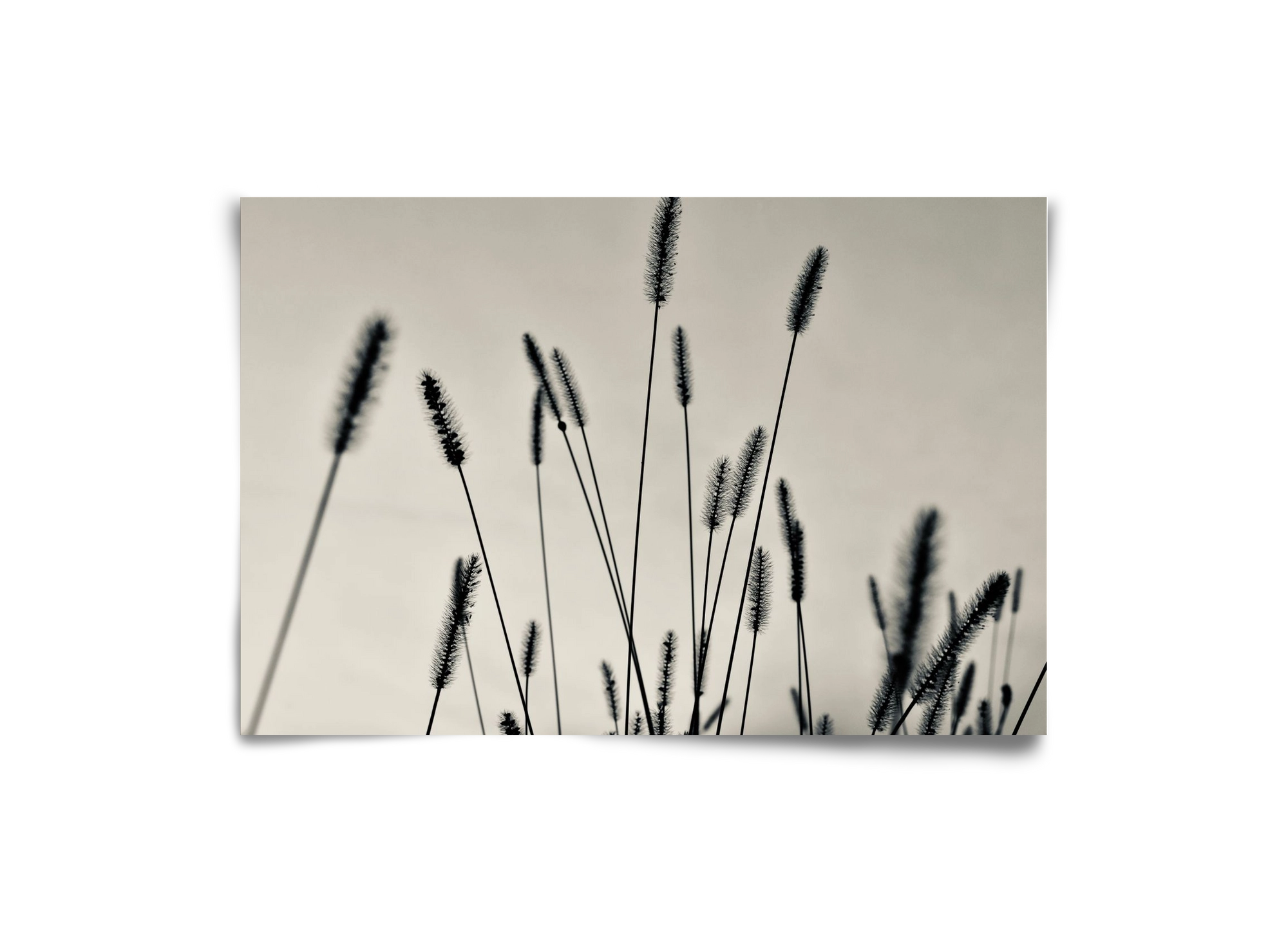 Cloud light, 30x20 cm, Keret nélkül