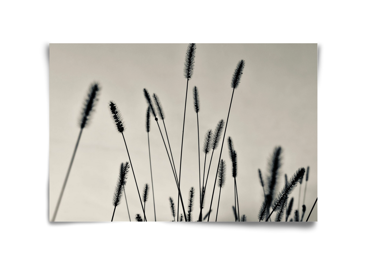 Cloud light, 45x30 cm, Keret nélkül