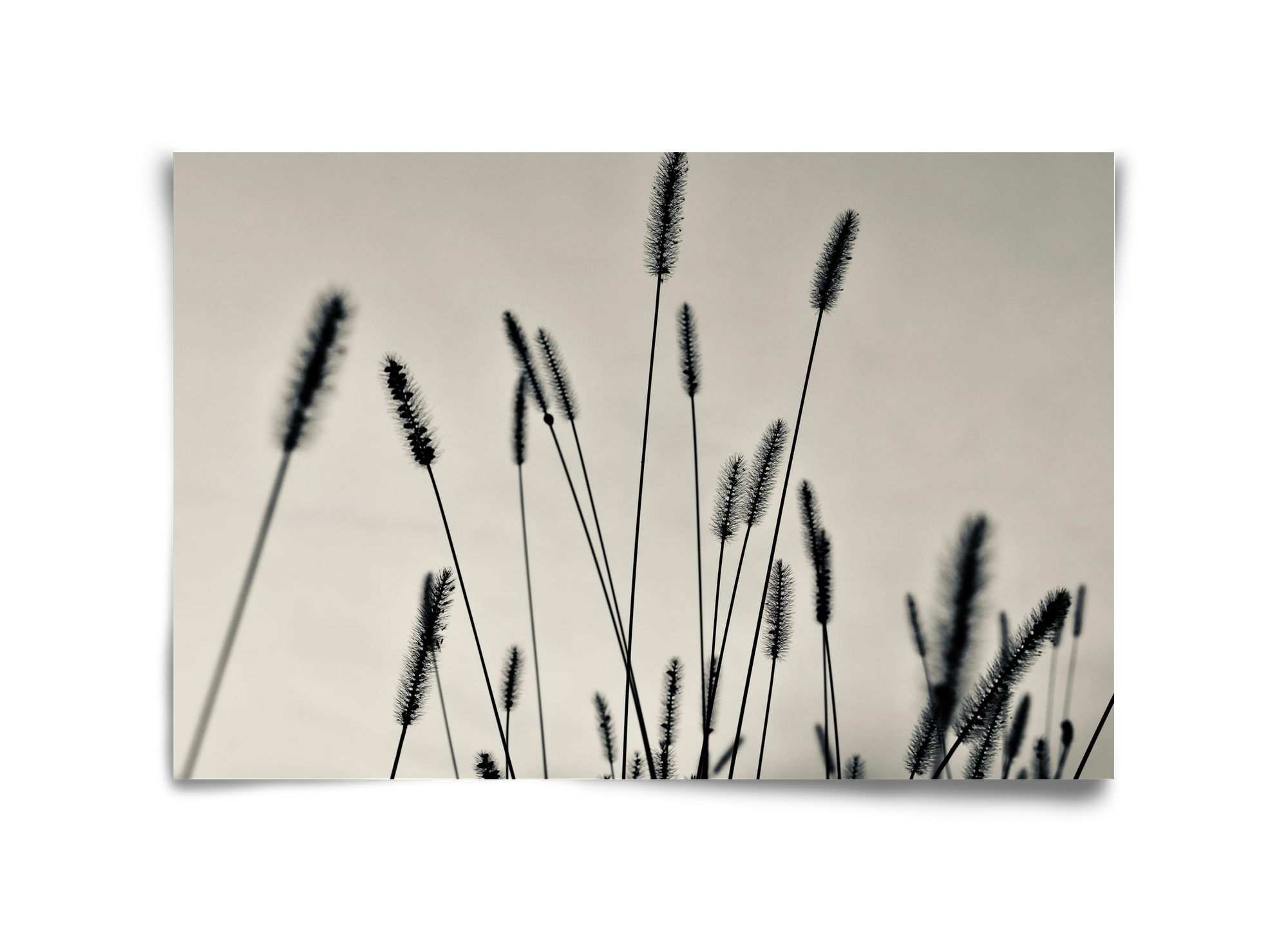 Cloud light, 45x30 cm, Keret nélkül