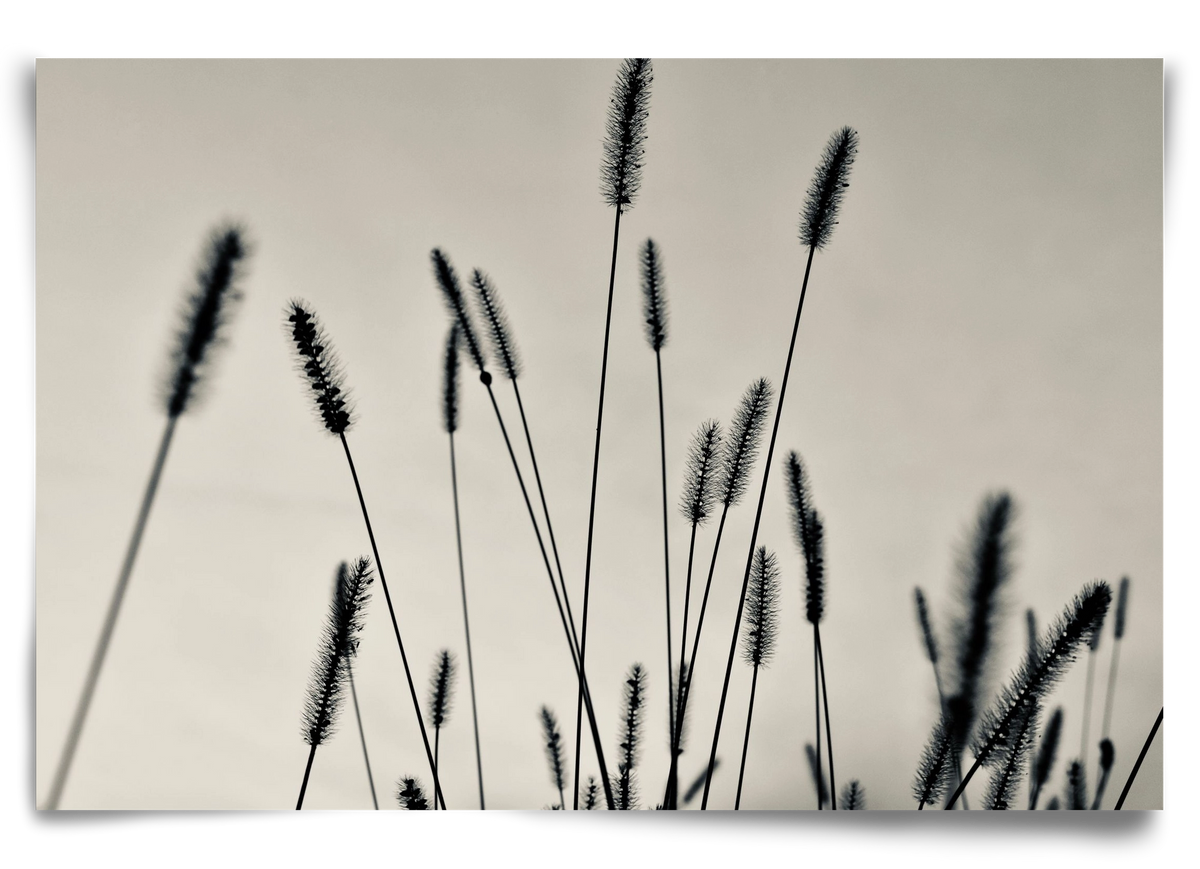 Cloud light, 90x60 cm, Keret nélkül