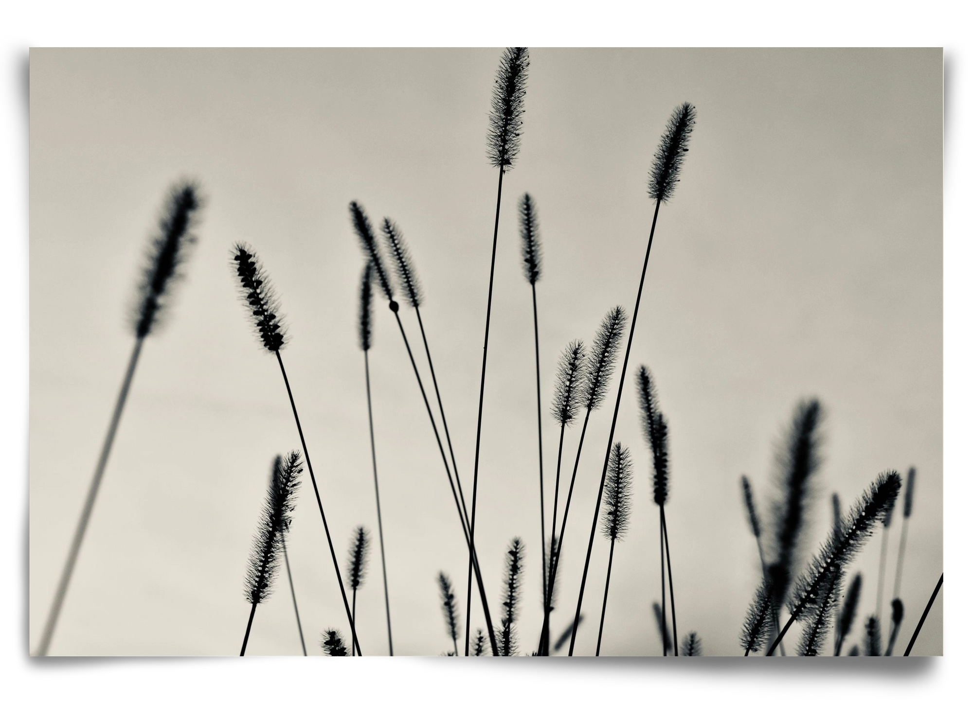 Cloud light, 90x60 cm, Keret nélkül