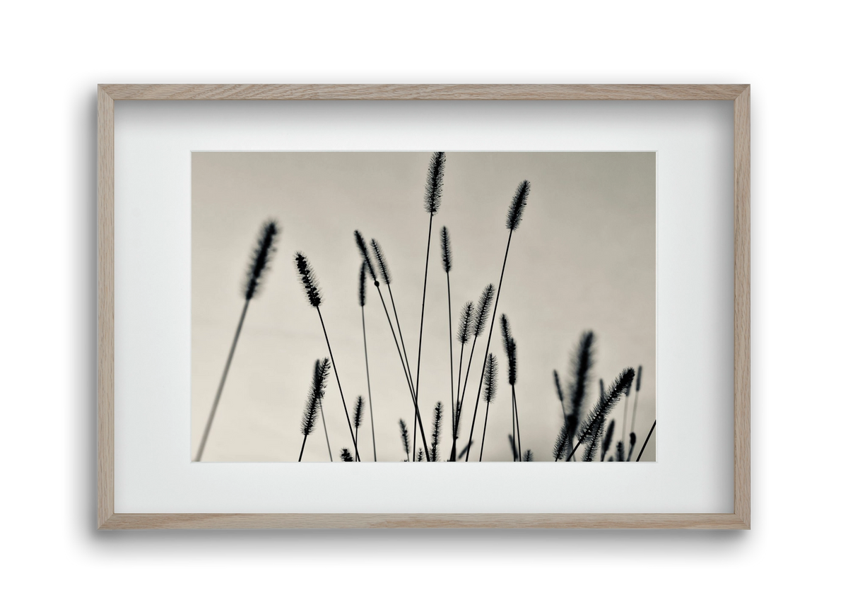 Cloud light, 45x30 cm (30x20 cm), Tölgy keret, paszpartuval