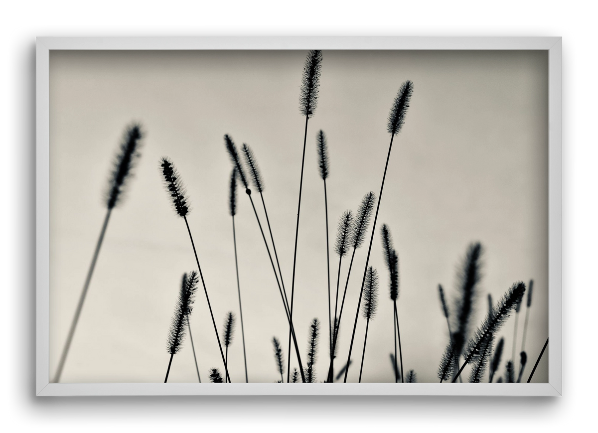 Cloud light, 60x40 cm (60x40 cm), Fehér keret