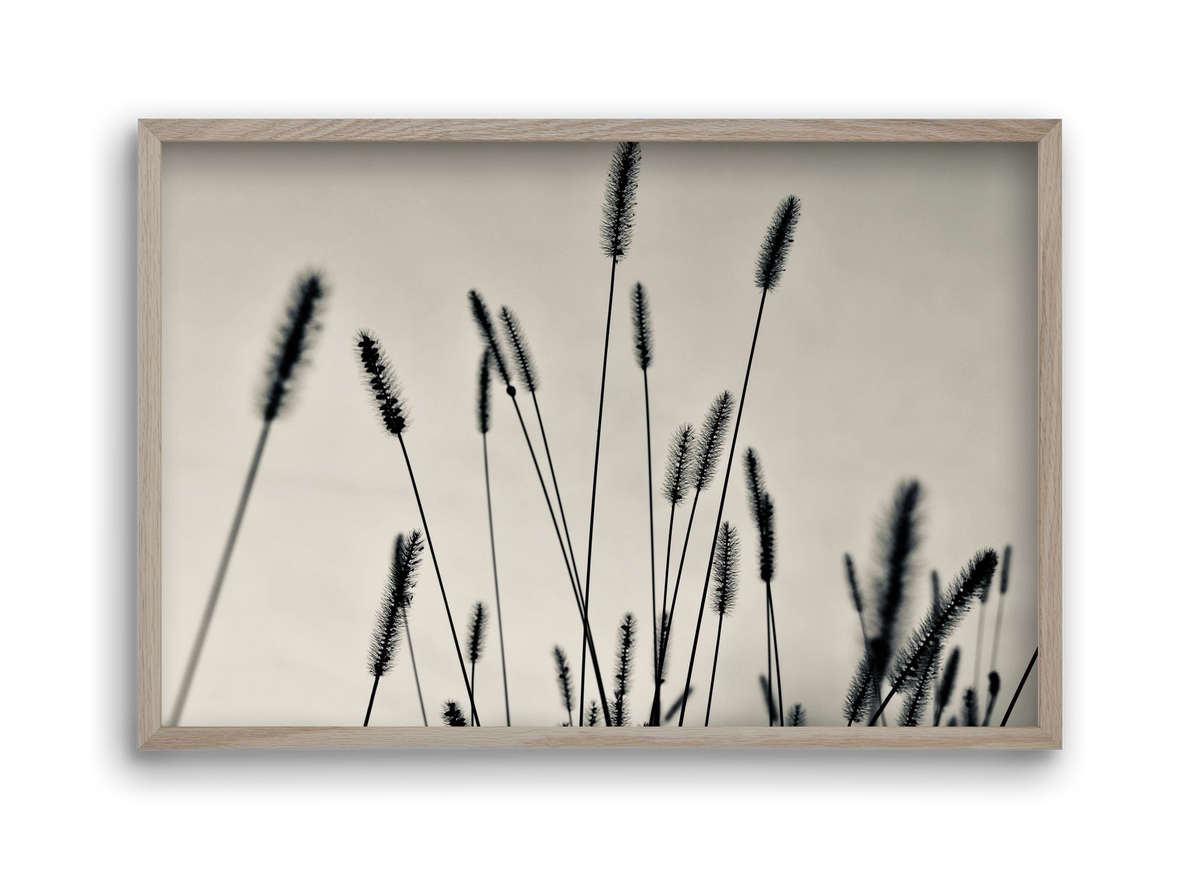 Cloud light, 45x30 cm (45x30 cm), Tölgy keret