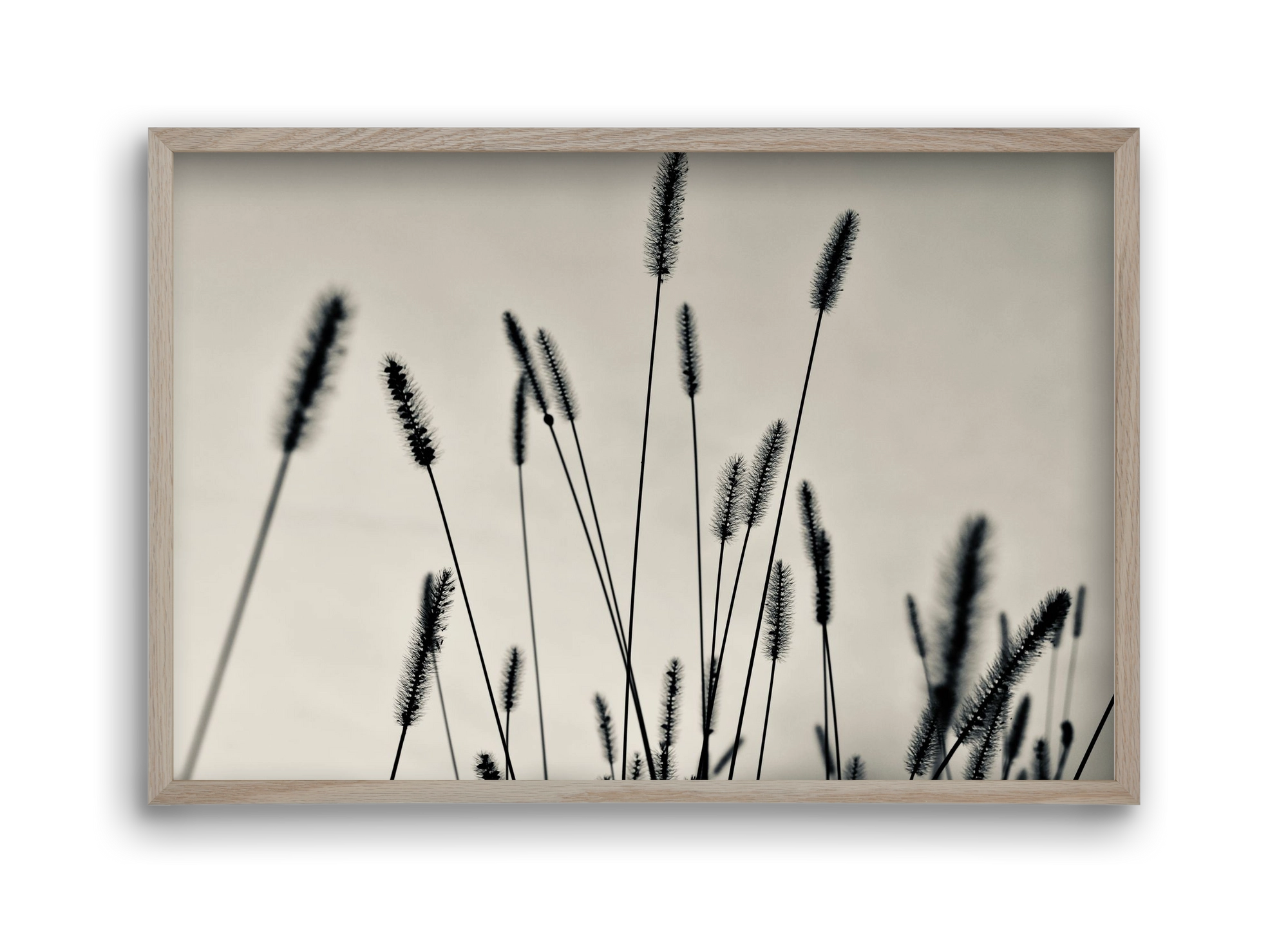 Cloud light, 45x30 cm (45x30 cm), Tölgy keret